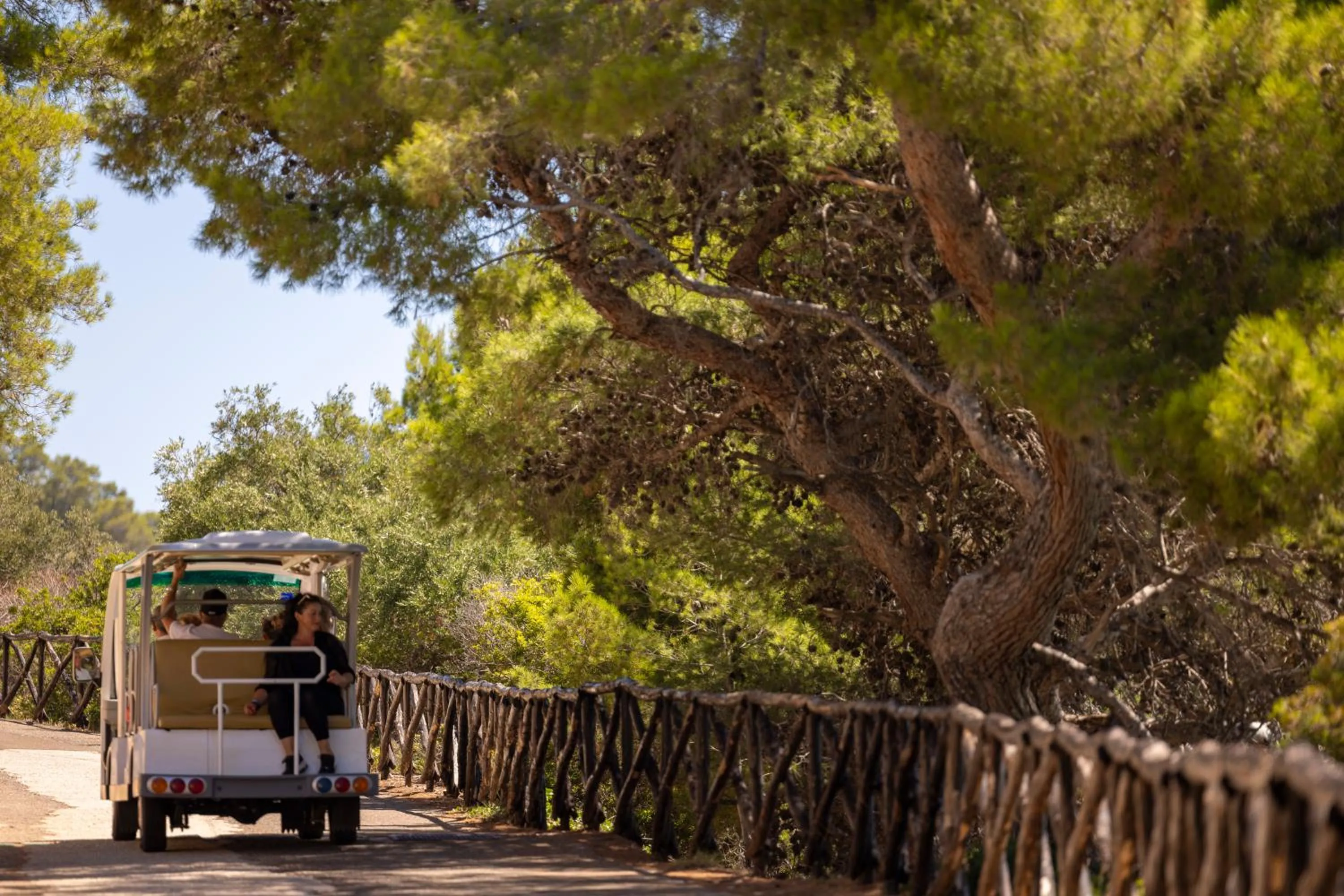 Garden in Pugnochiuso Resort Hotel del Faro