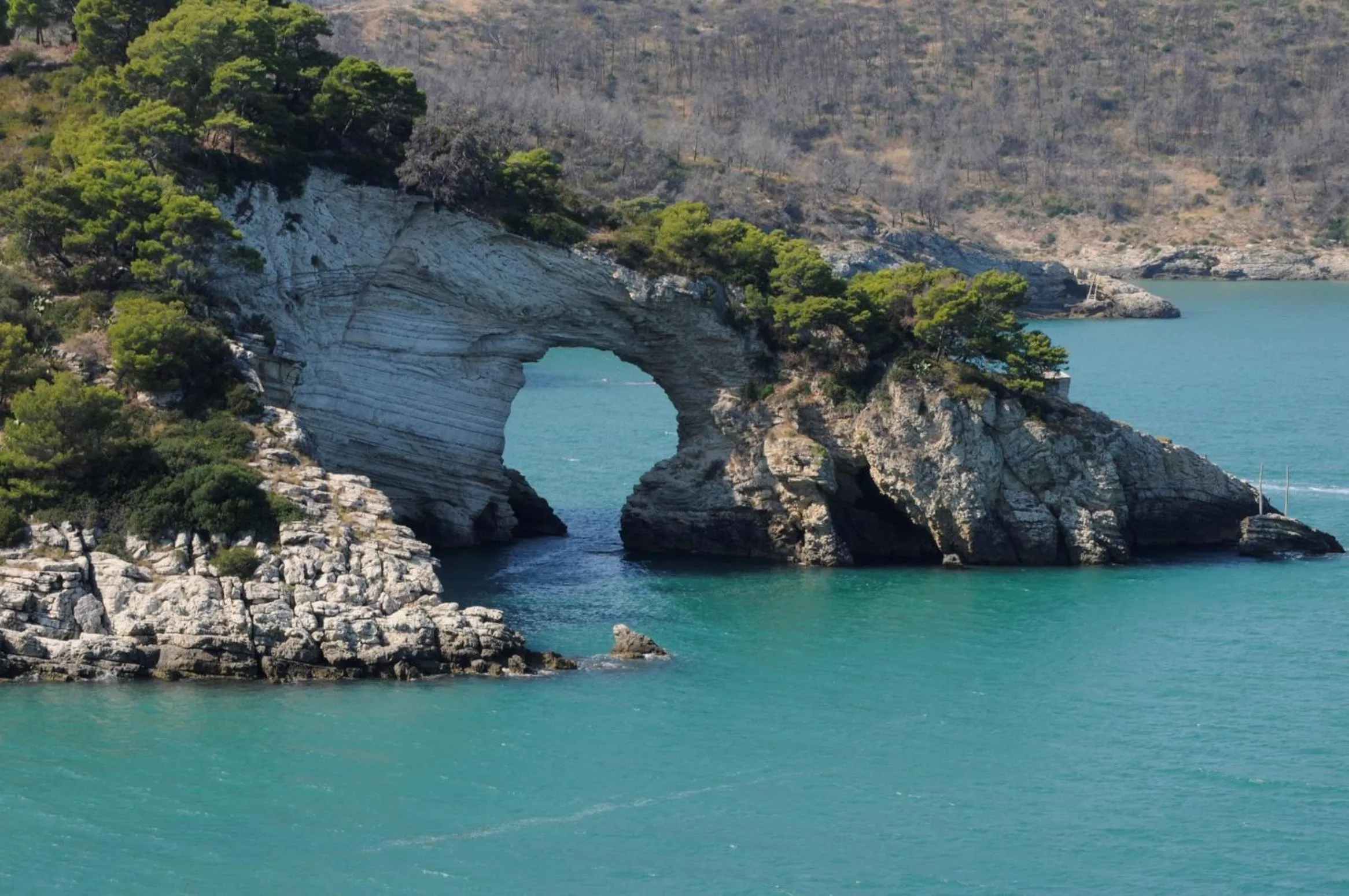 Sea view in Pugnochiuso Resort Hotel del Faro