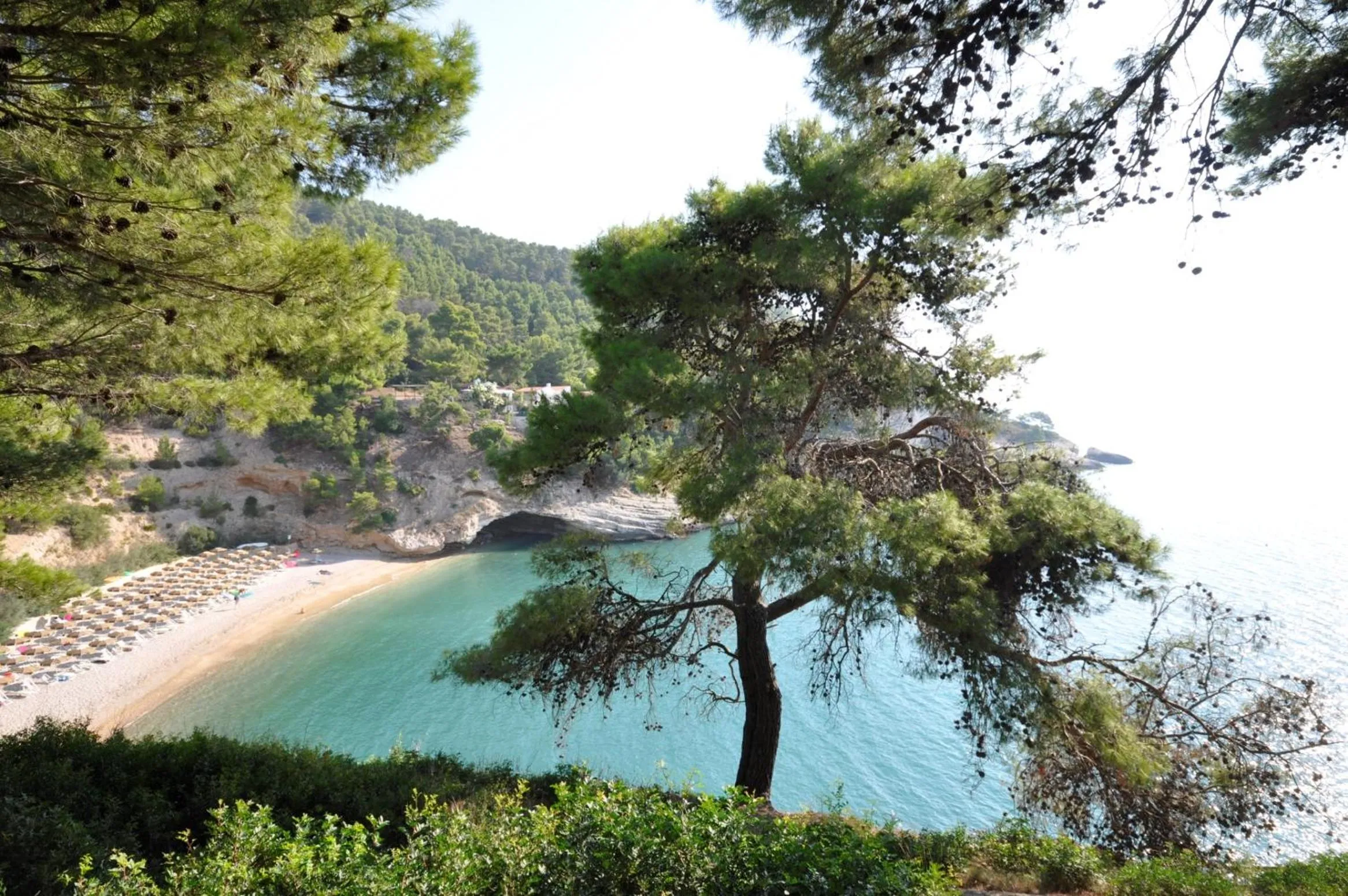 Beach in Pugnochiuso Resort Hotel del Faro