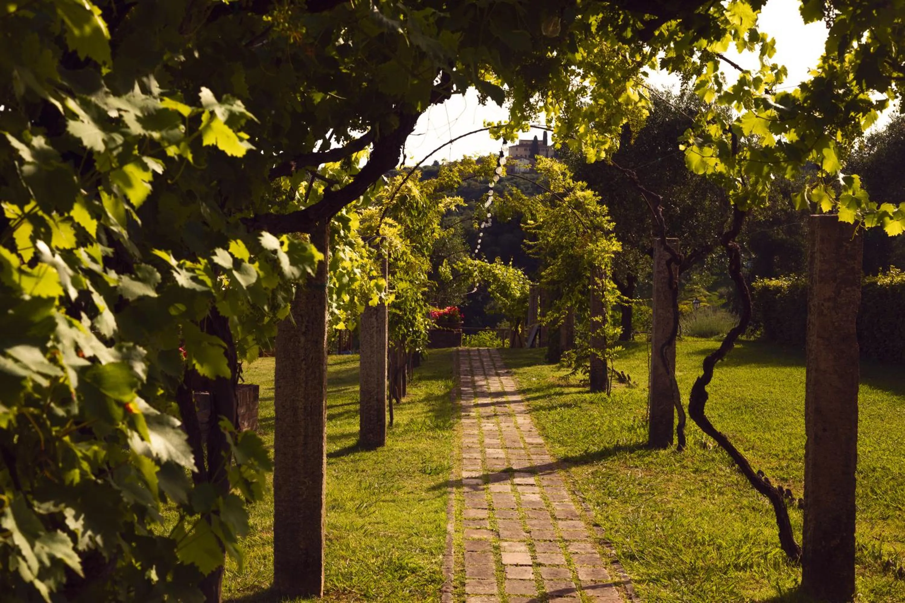 Property building in Hotel Certosa Di Maggiano