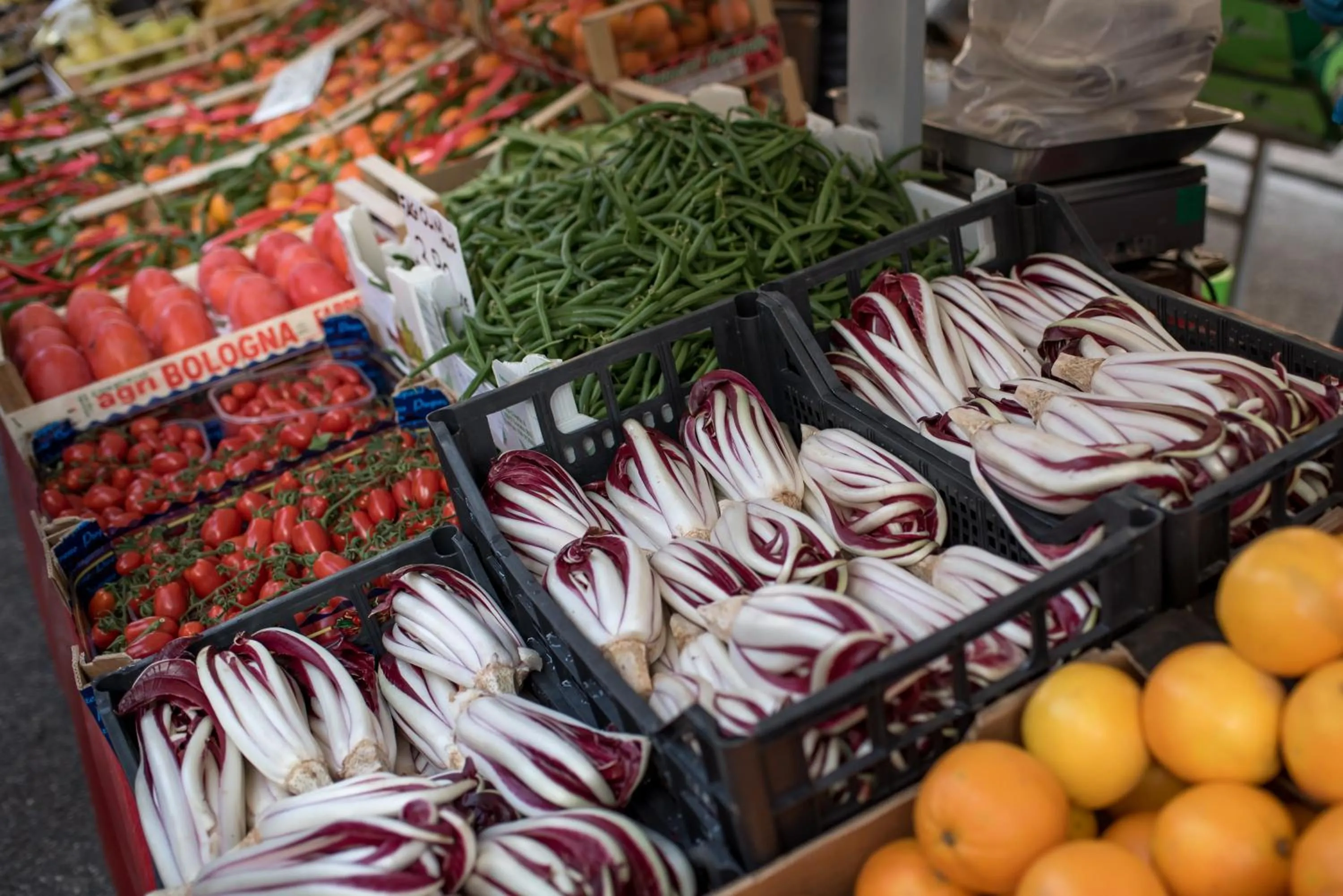 Other in Villa Franceschi Hotel & Resort