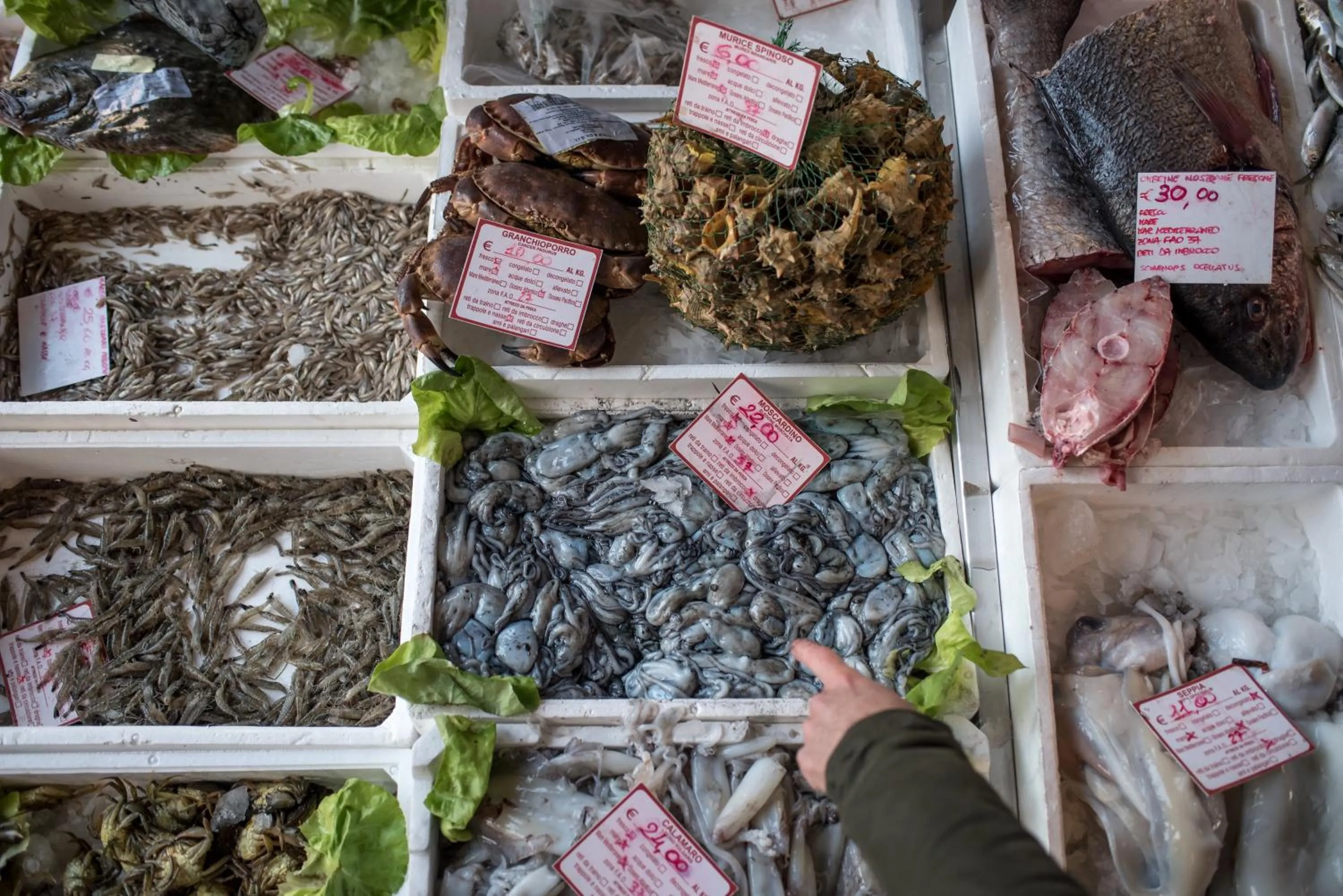 Food in Villa Franceschi Hotel & Resort