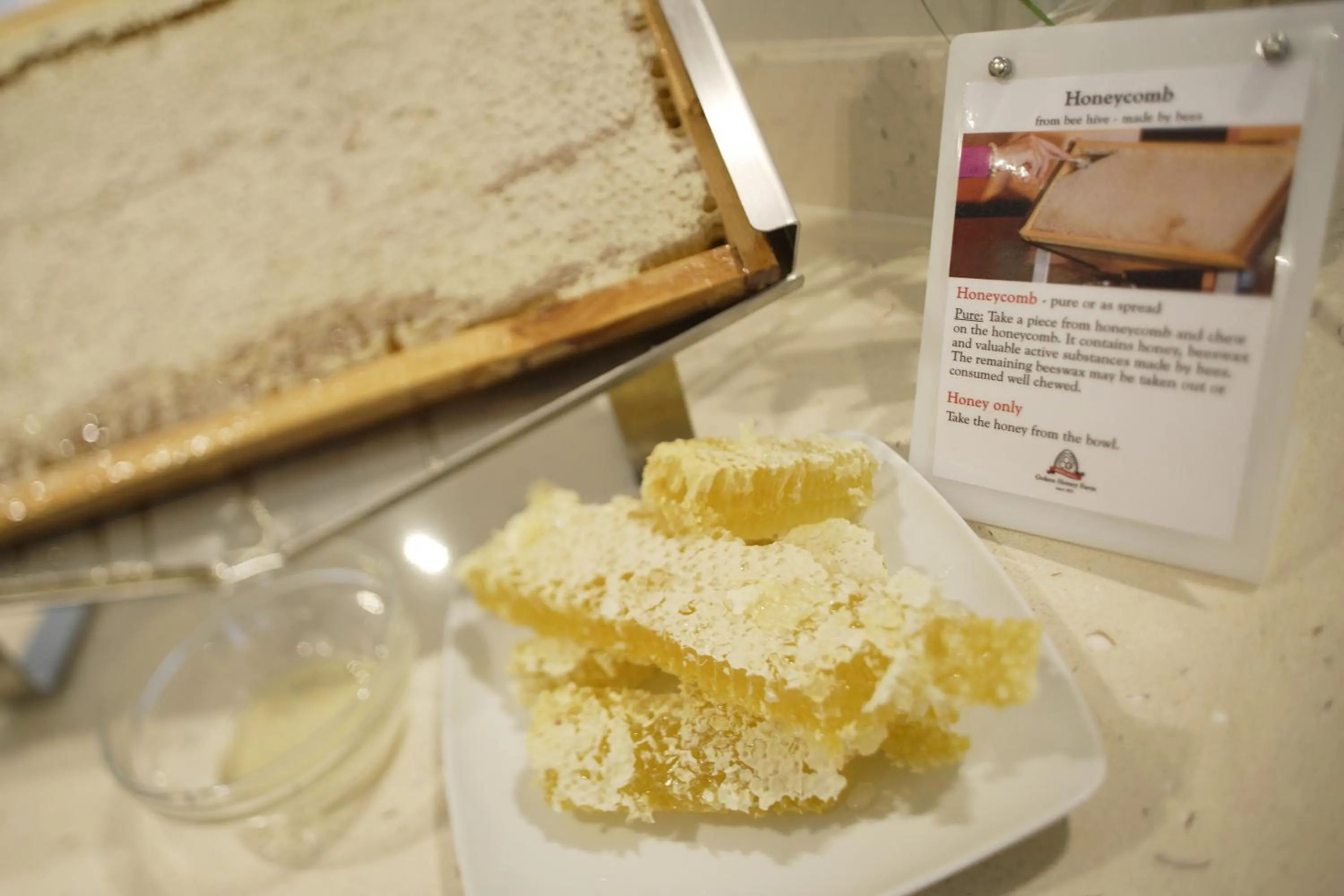 Food and drinks in Hotel Gardenia