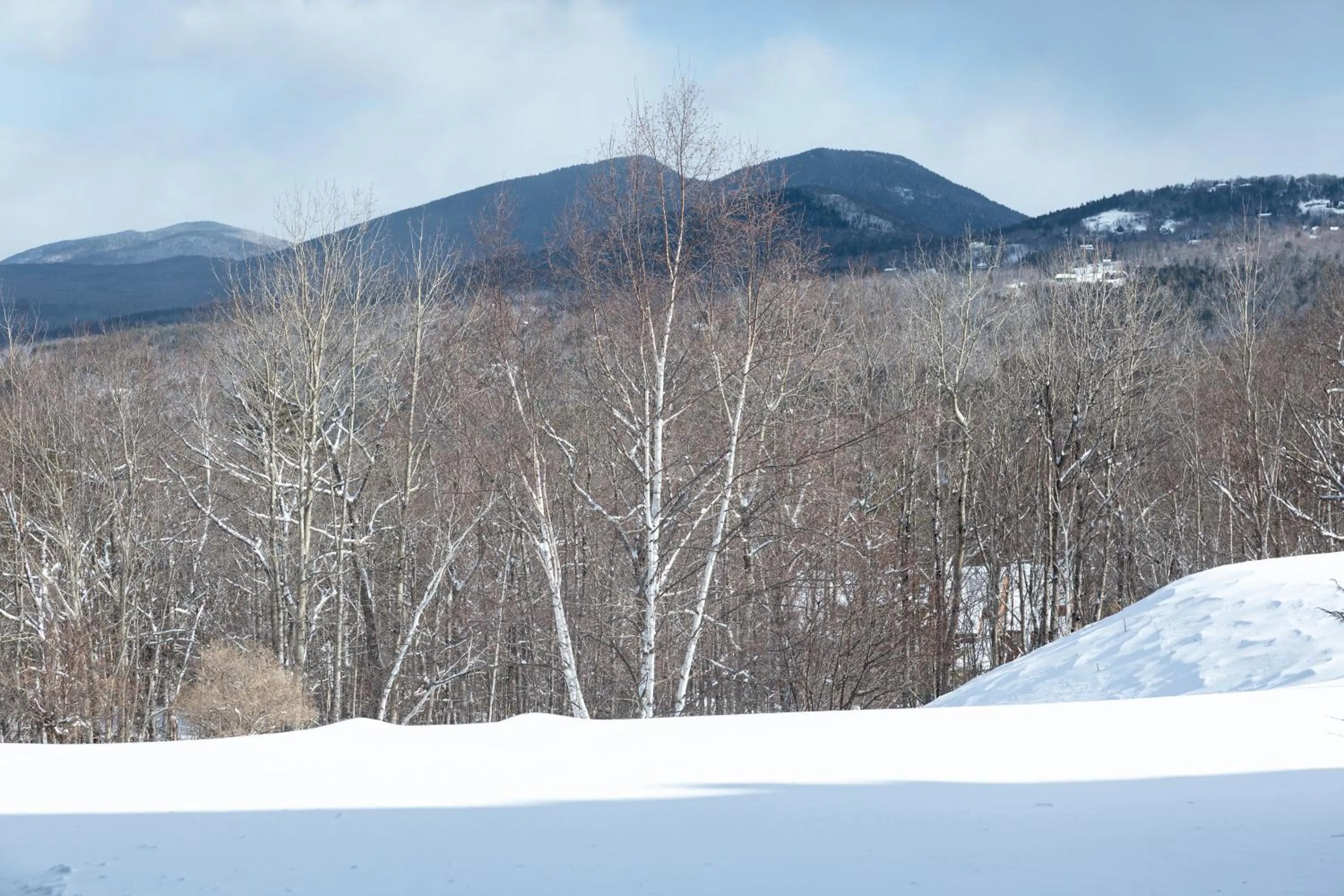 White Mountains Getaway with amazing views!