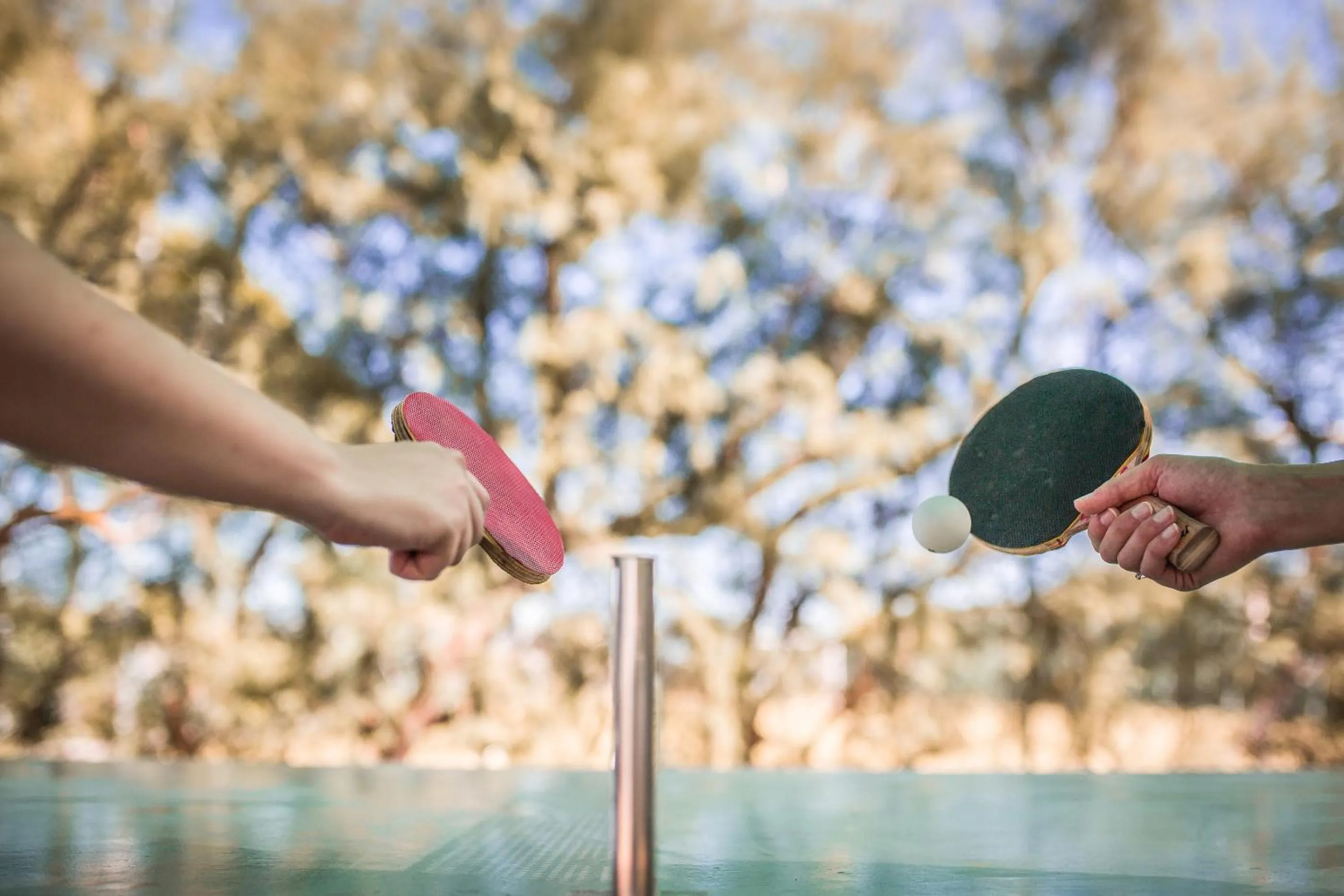Table tennis in Hotel San Giorgio Resort 4S