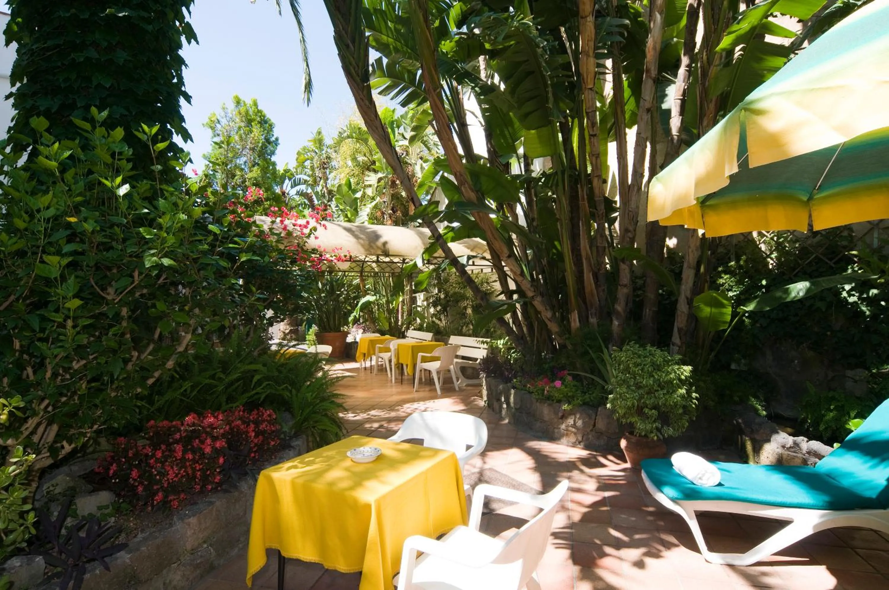 Patio in Hotel Villa Angelica
