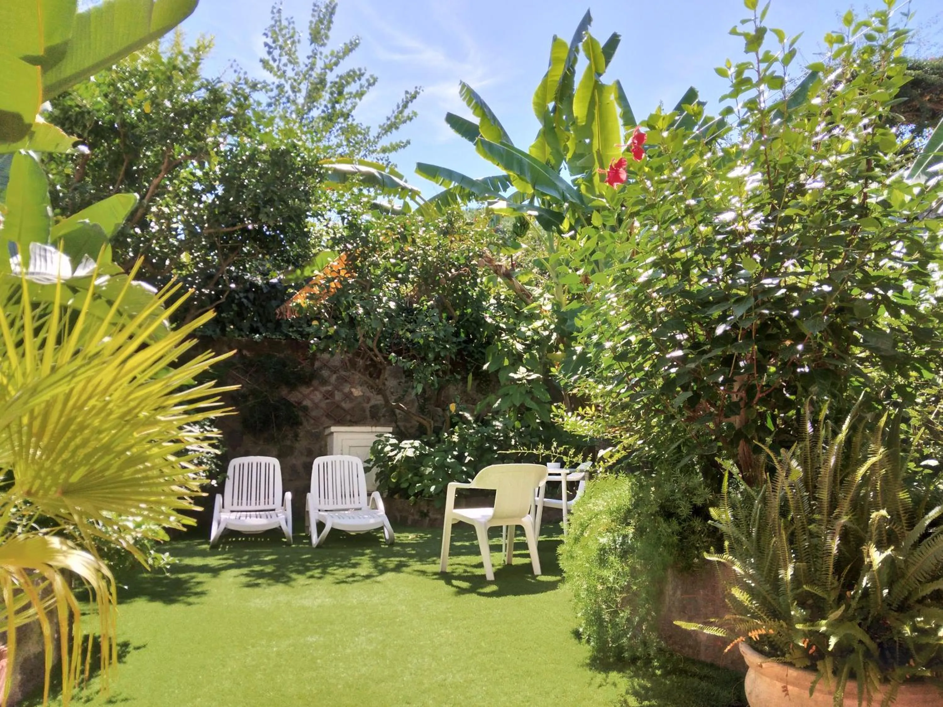 Garden view in Hotel Villa Angelica