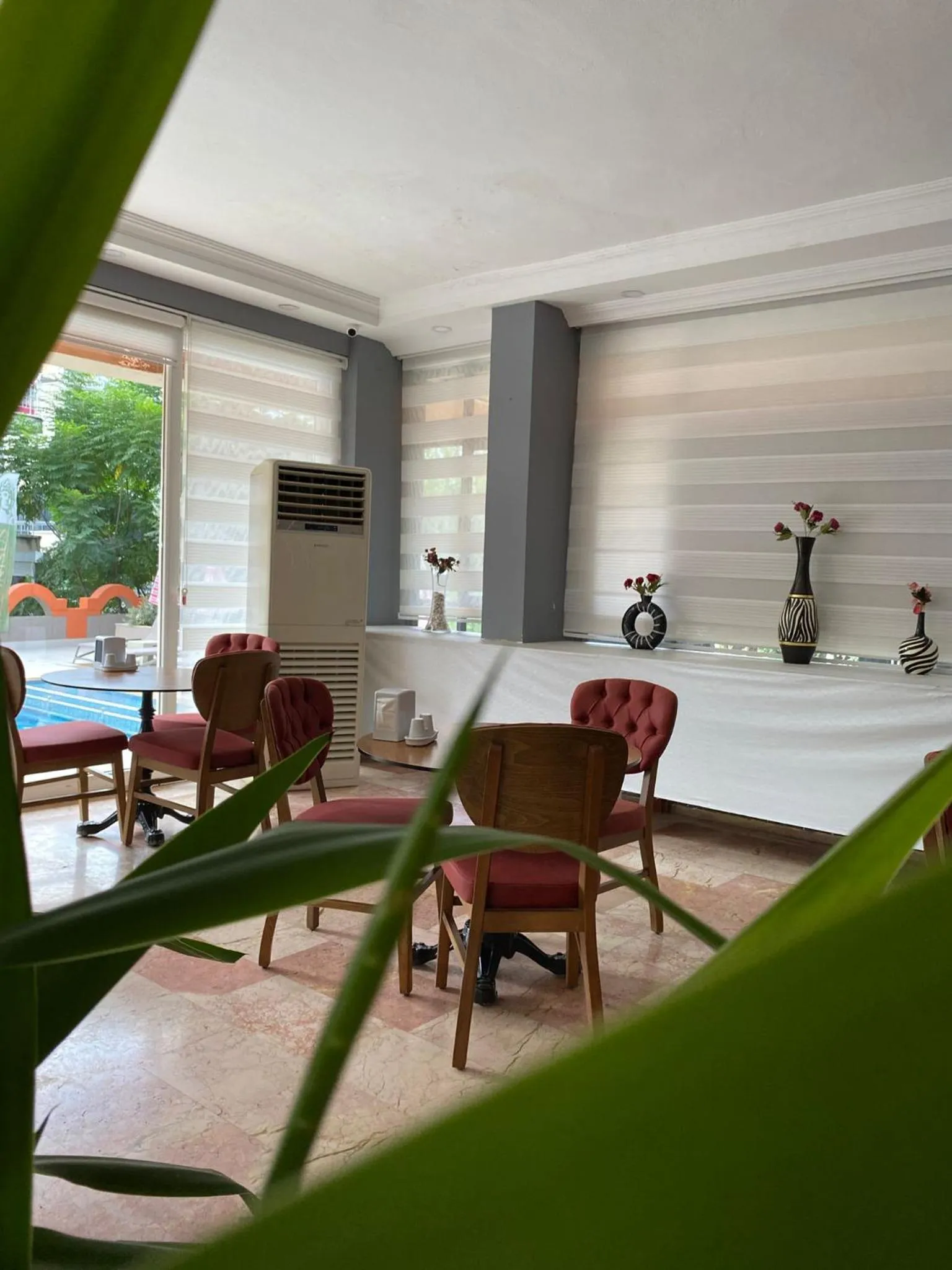 Restaurant/places to eat in DIONISUS LARA