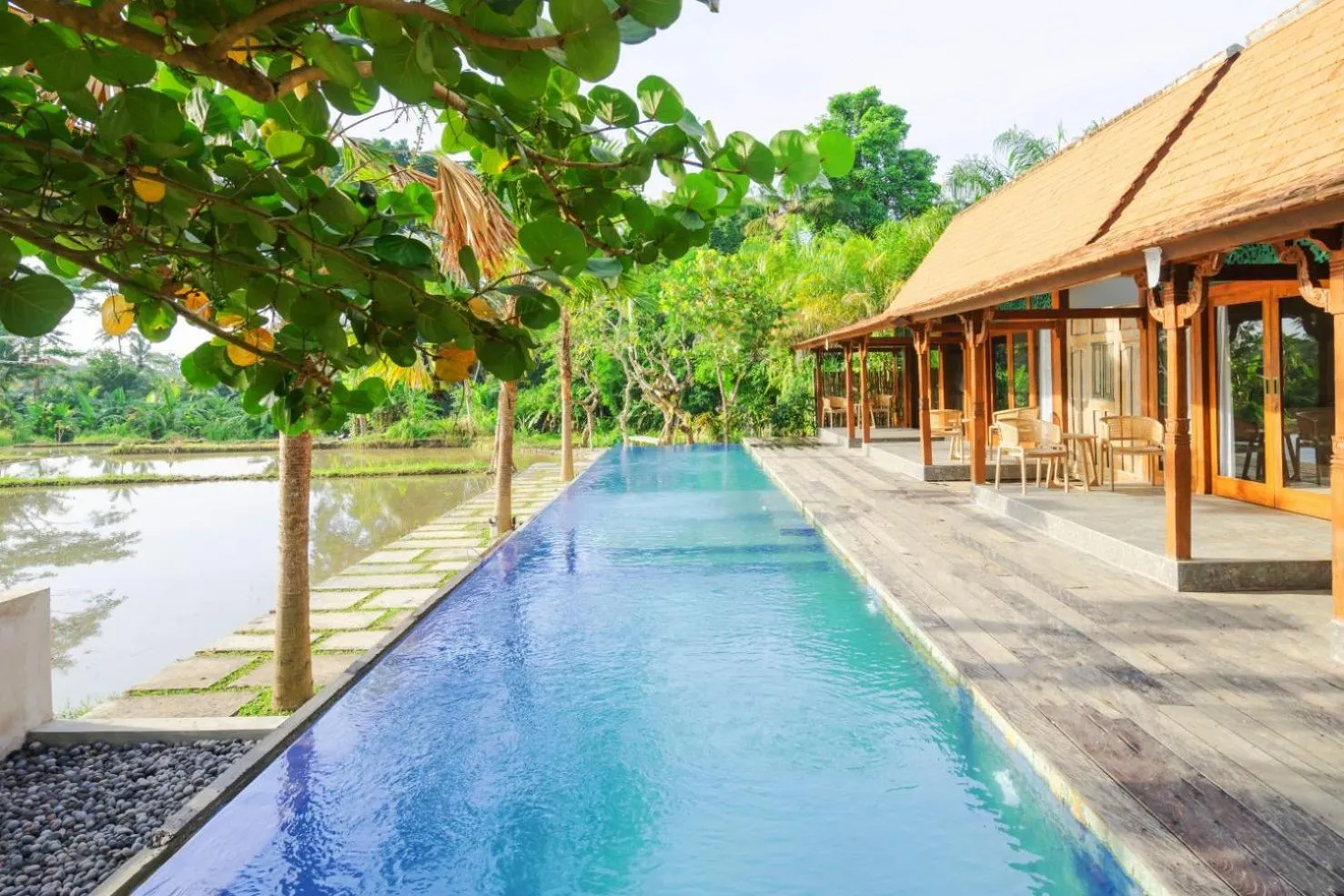 Swimming pool in Nayaka Living Ubud