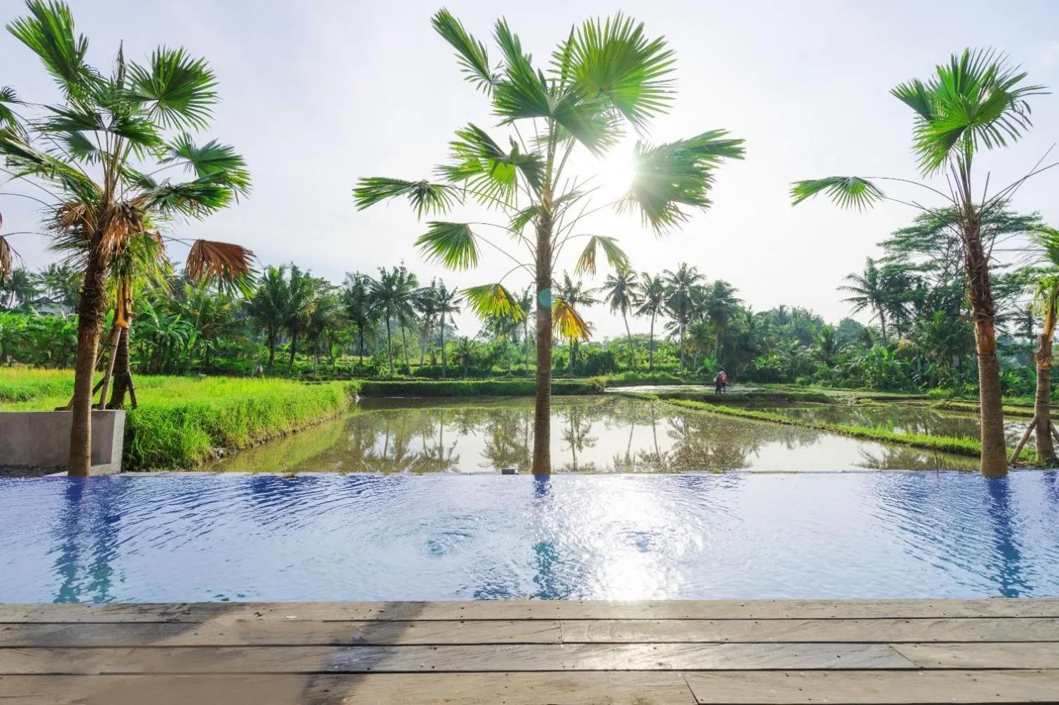 Garden in Nayaka Living Ubud