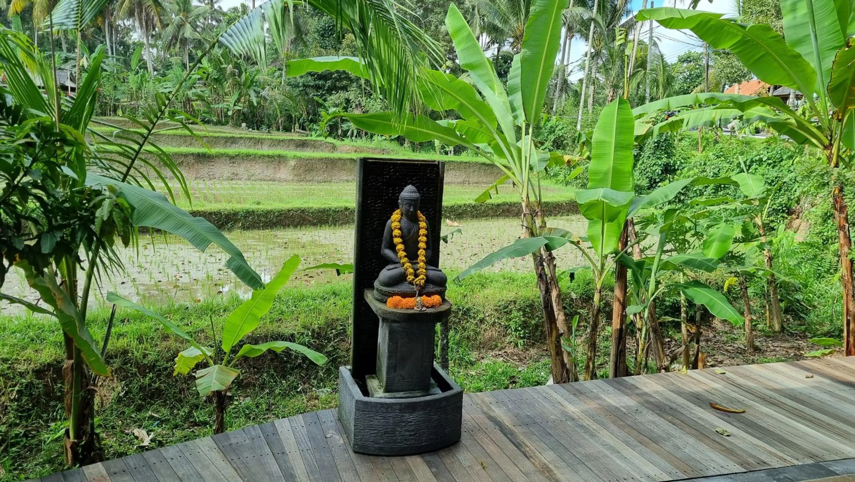 View (from property/room) in The Sebali Resort