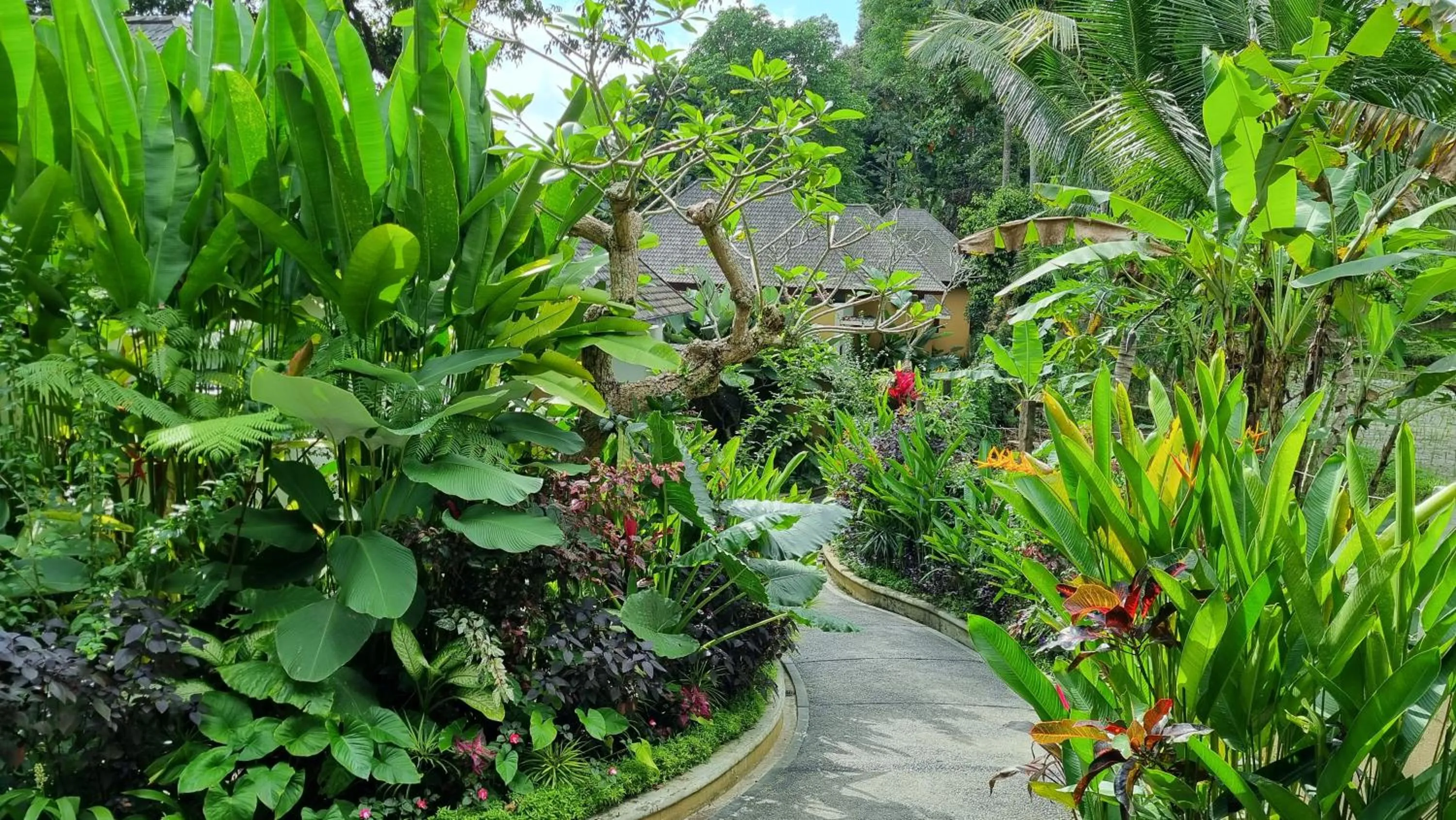 Garden in The Sebali Resort