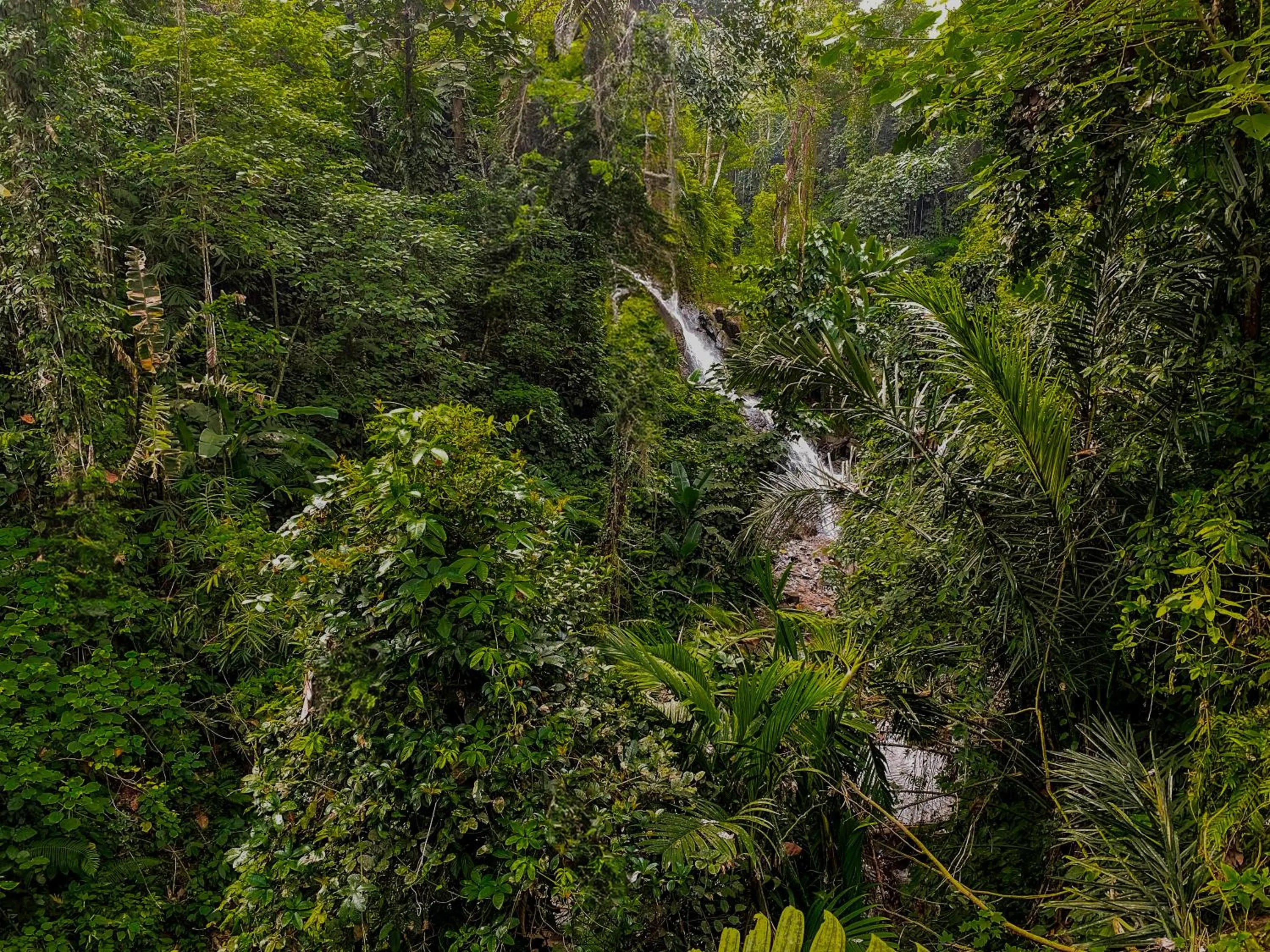 View (from property/room) in The Sebali Resort