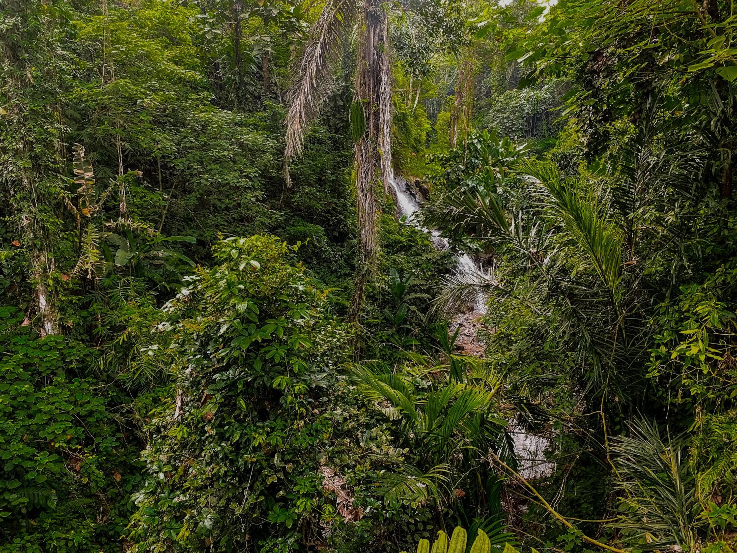 Nearby landmark in The Sebali Resort