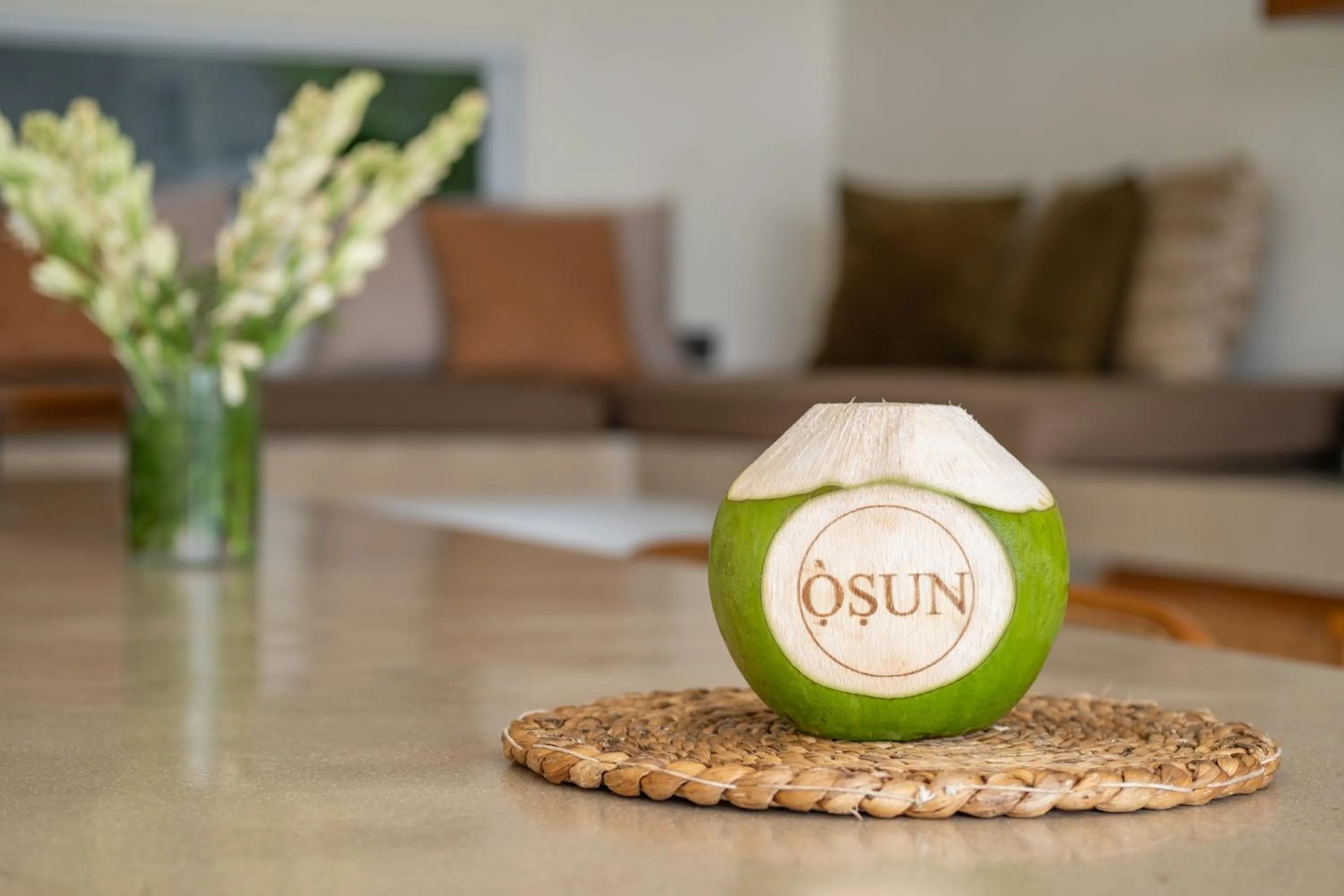 Property logo or sign in Villa Osun