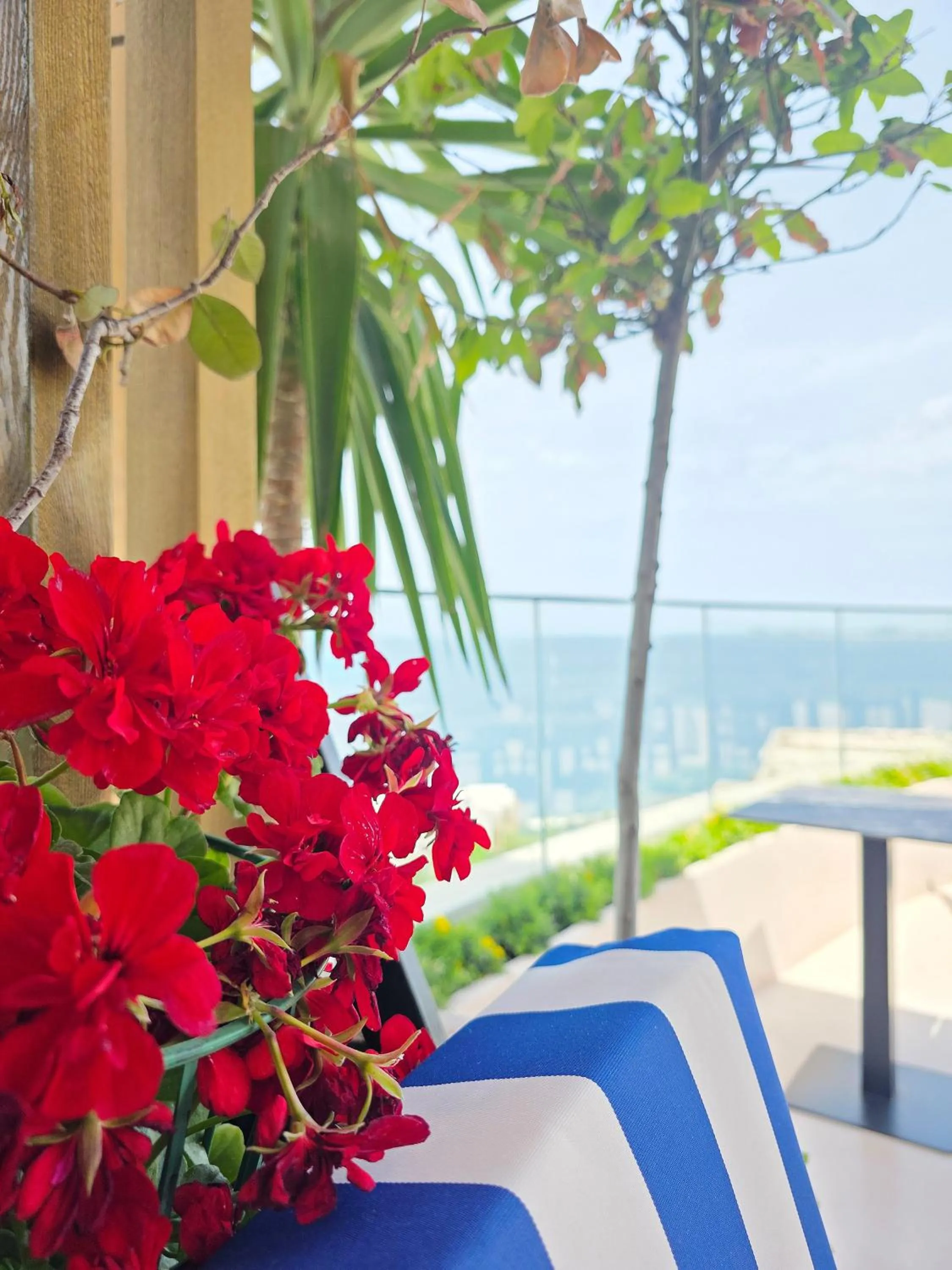 Restaurant/places to eat in Valza Boutique Hotel