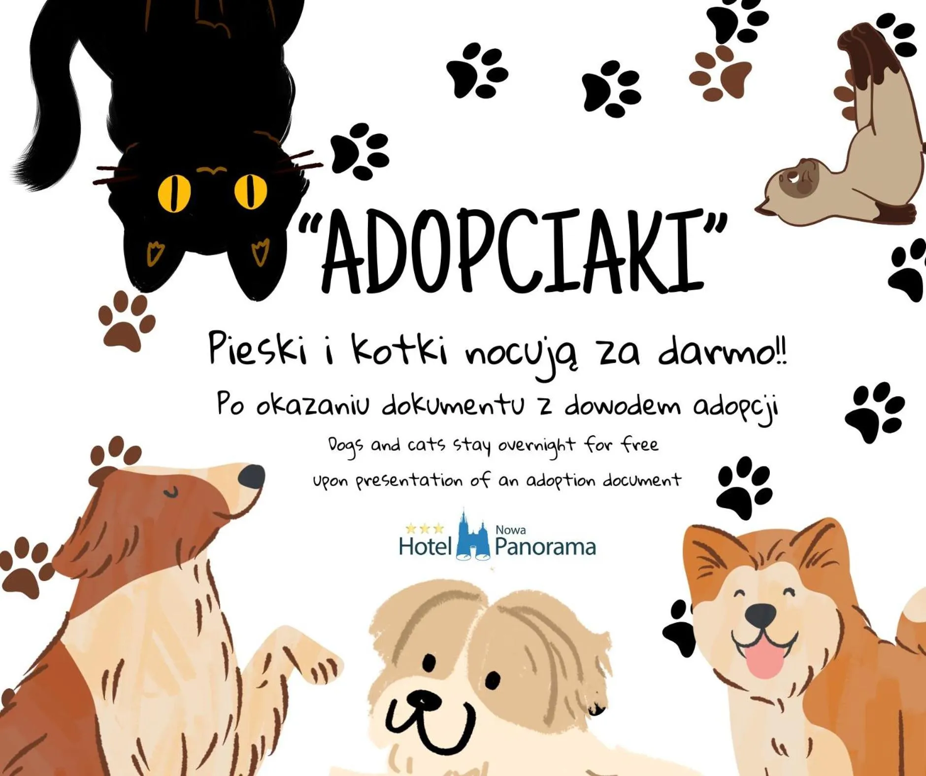Animals in Hotel Nowa Panorama
