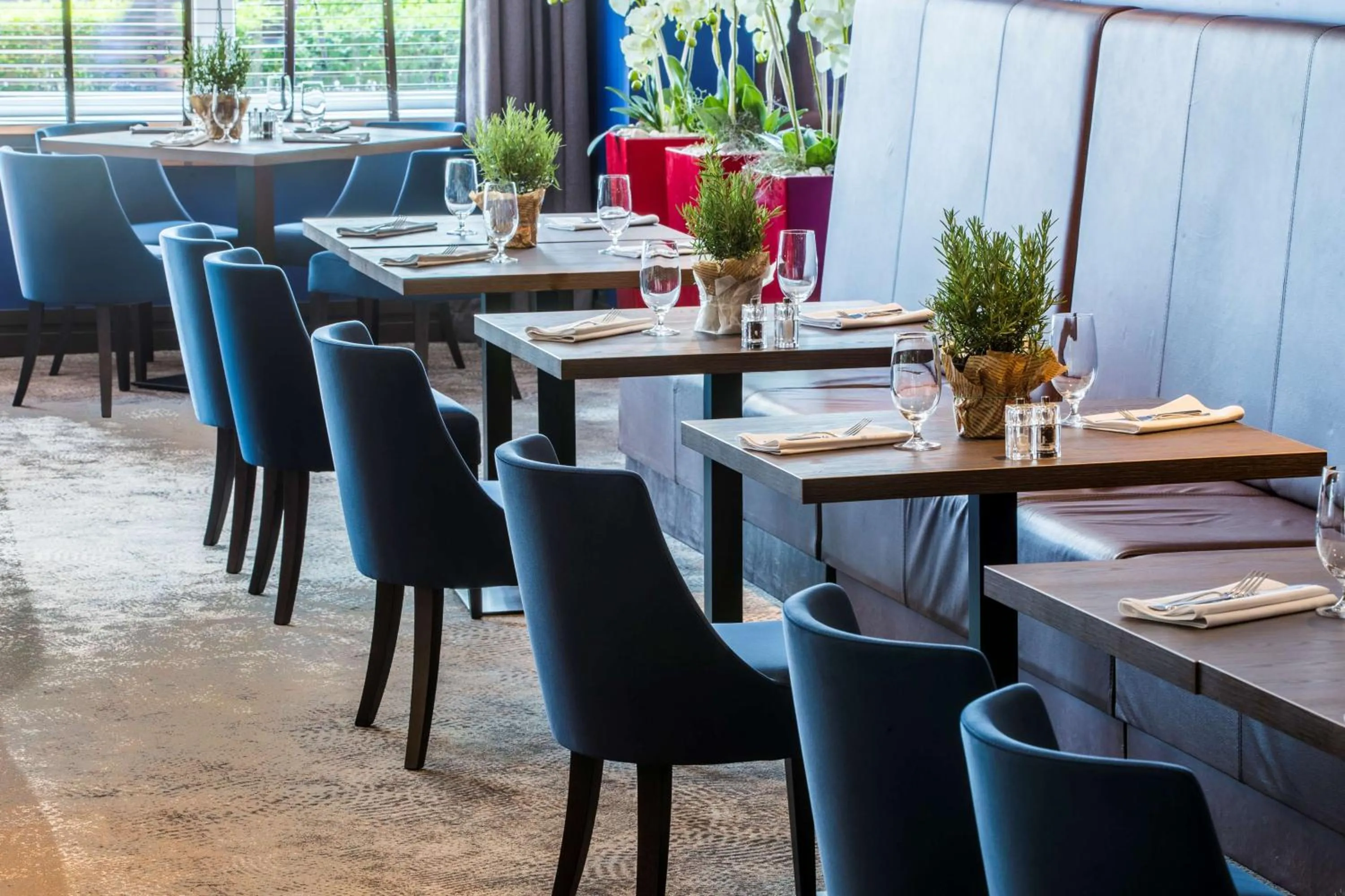 Restaurant/places to eat in Radisson Blu Sobieski