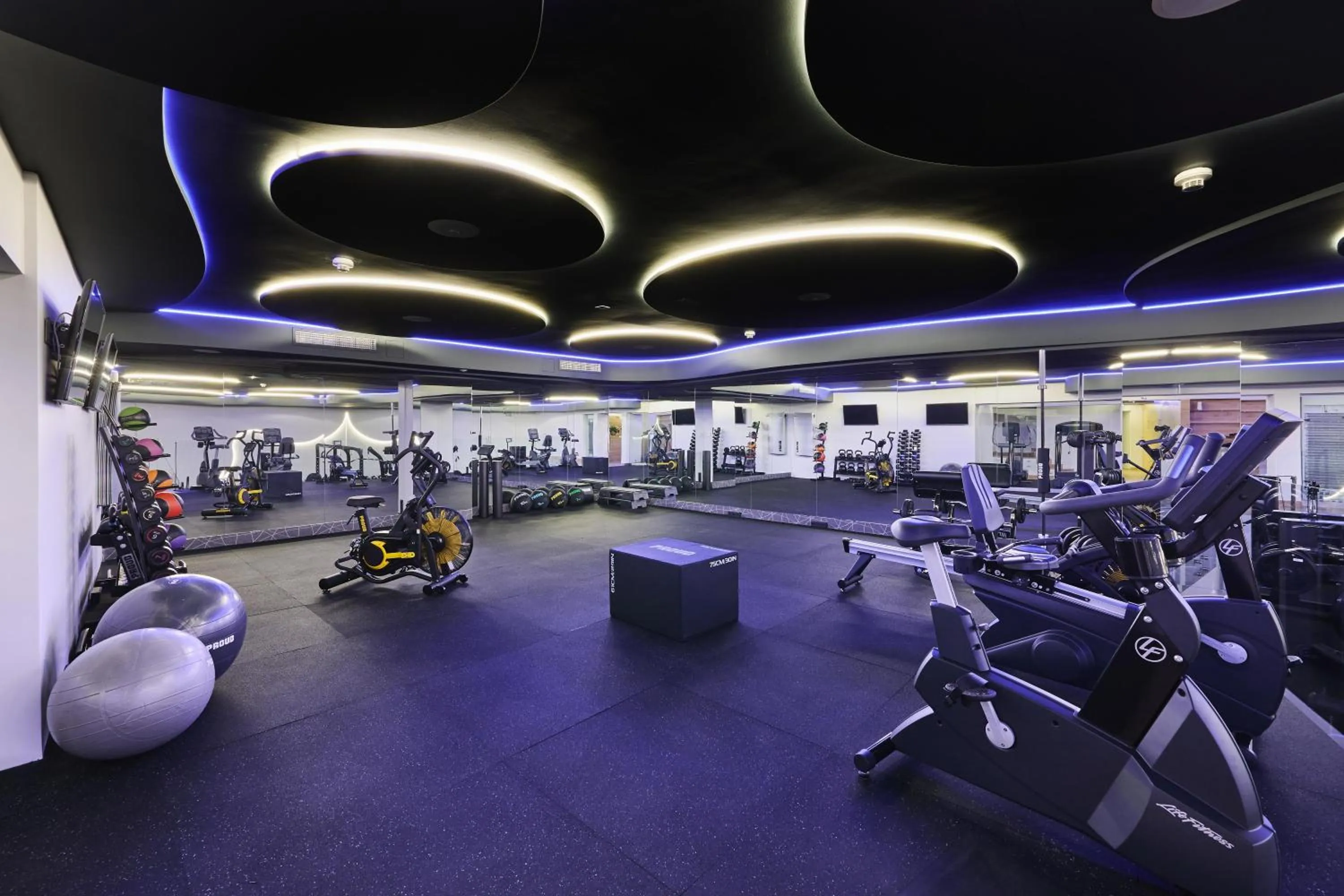 Fitness centre/facilities in Radisson Blu Sobieski