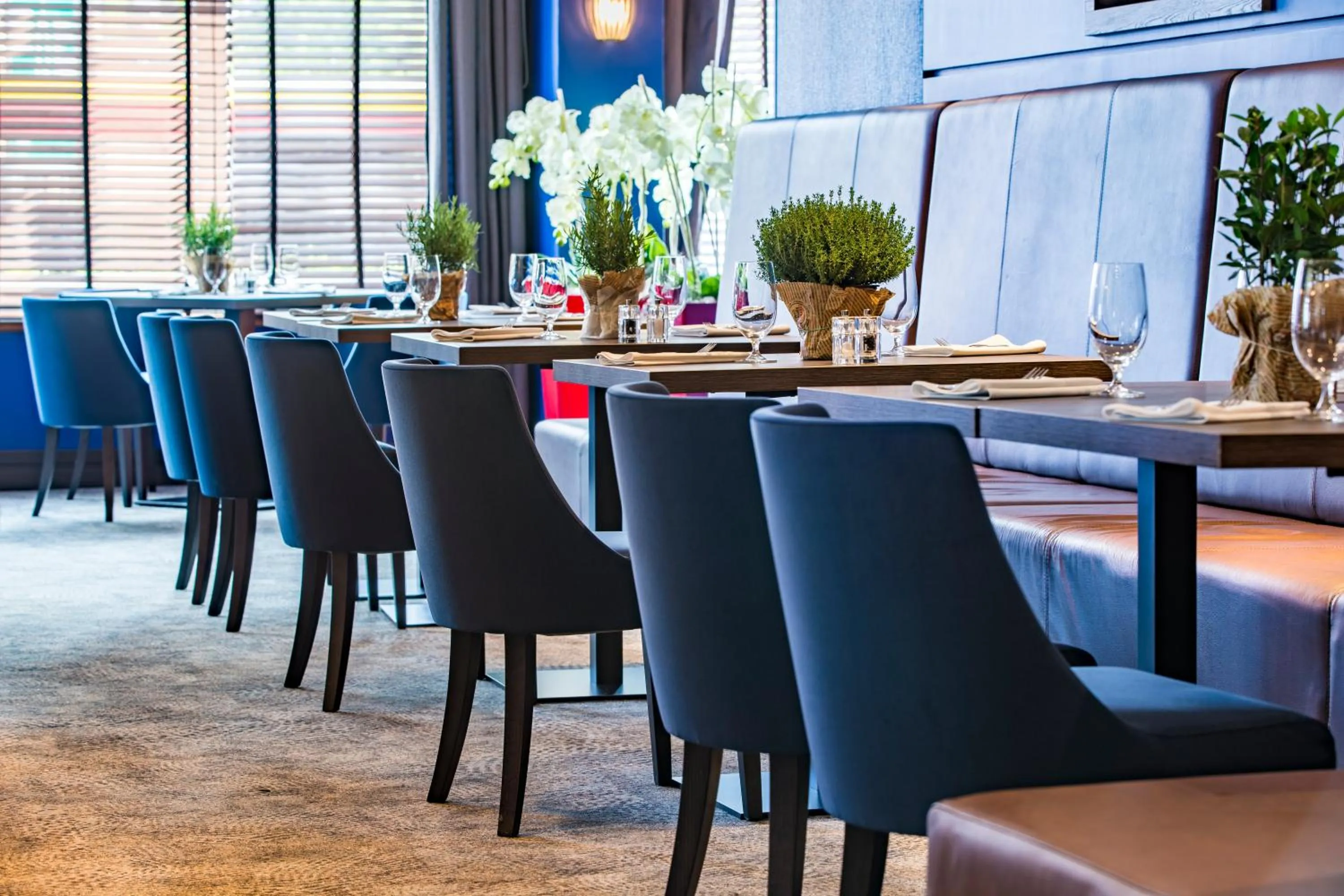 Restaurant/places to eat in Radisson Blu Sobieski