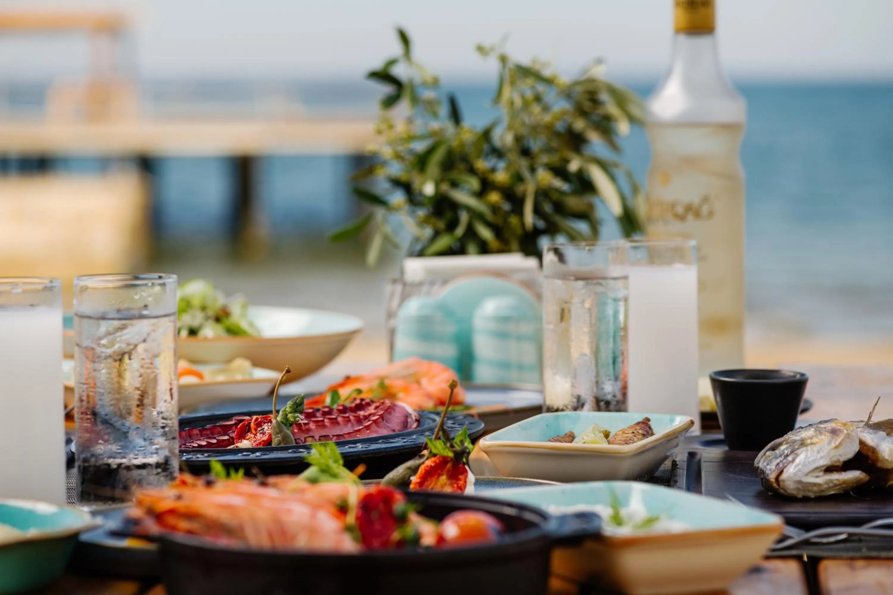 Restaurant/places to eat in The Arkin Iskele