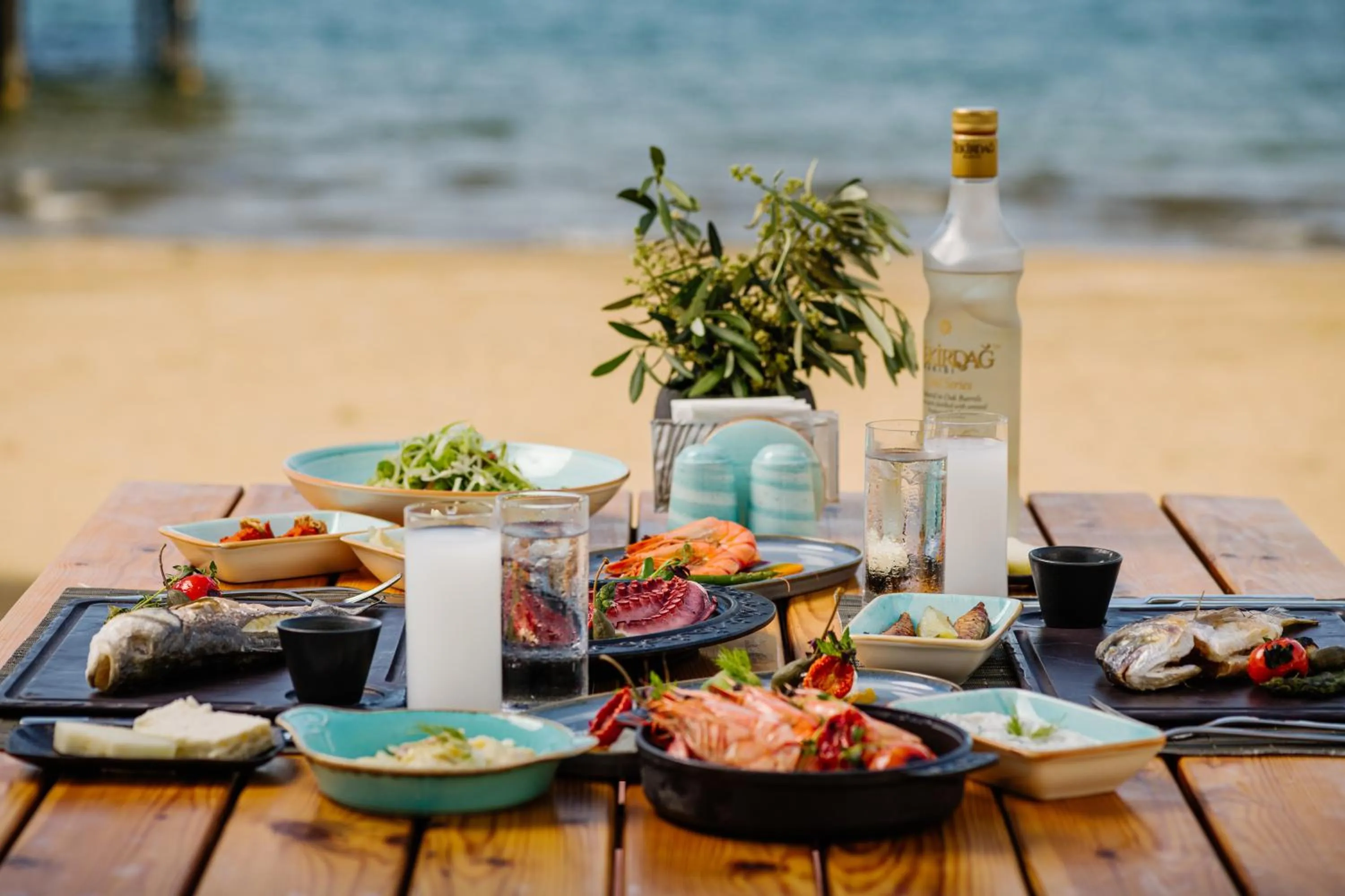 Restaurant/places to eat in The Arkin Iskele