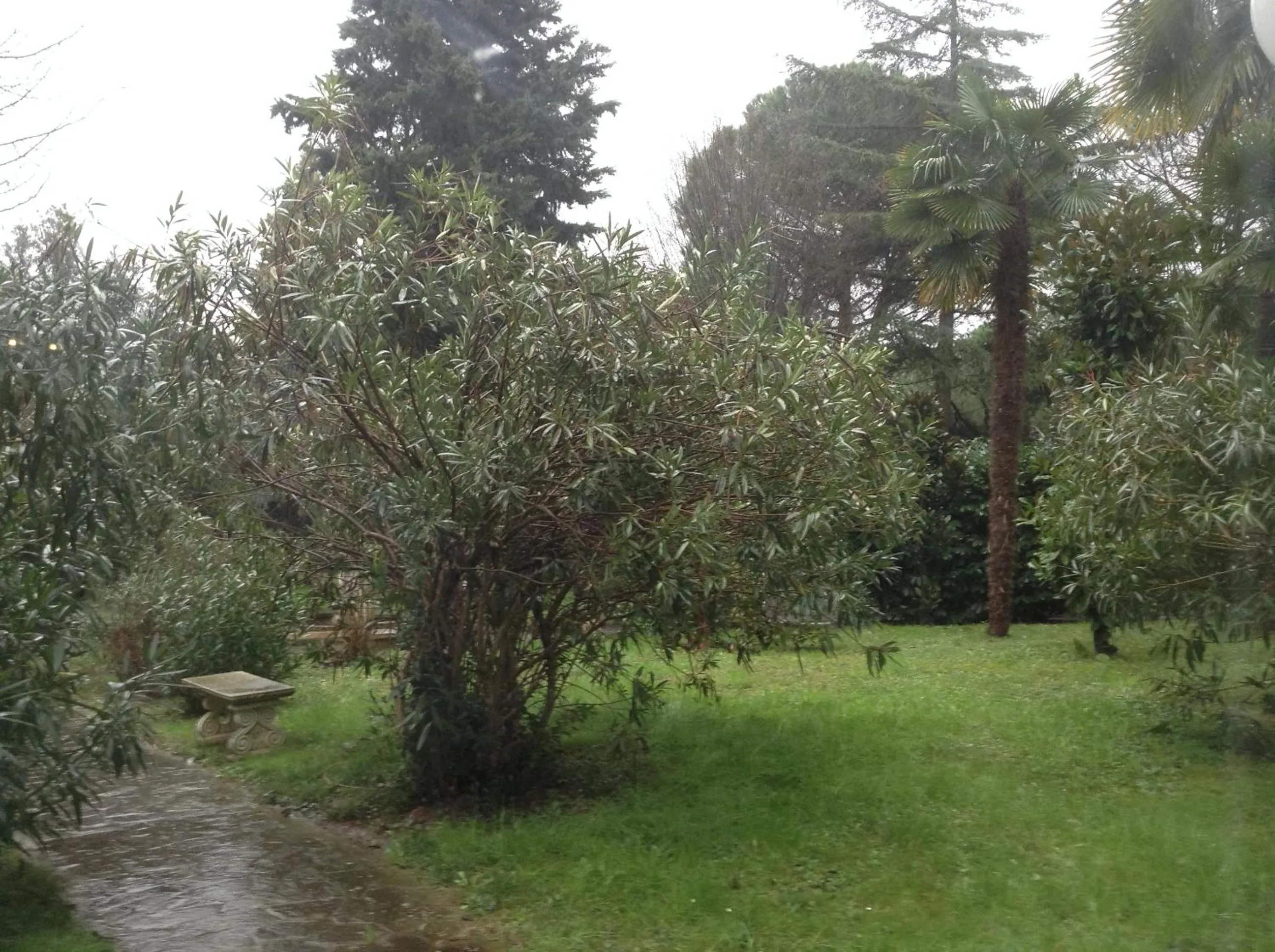 Garden in Park Hotel