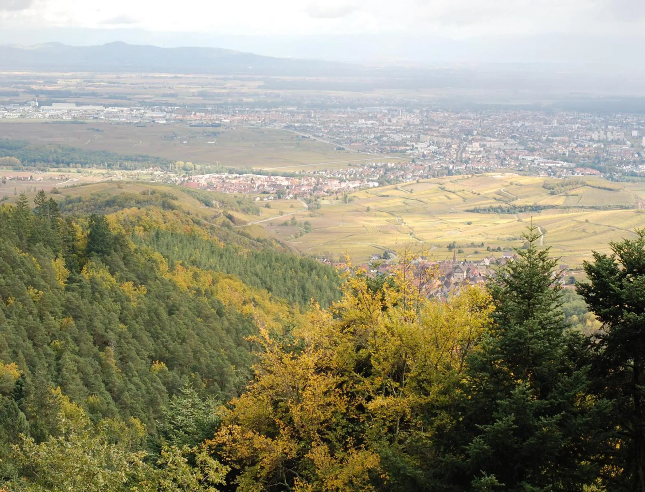 Cycling in Cottage 1956 - Maison d'hôtes