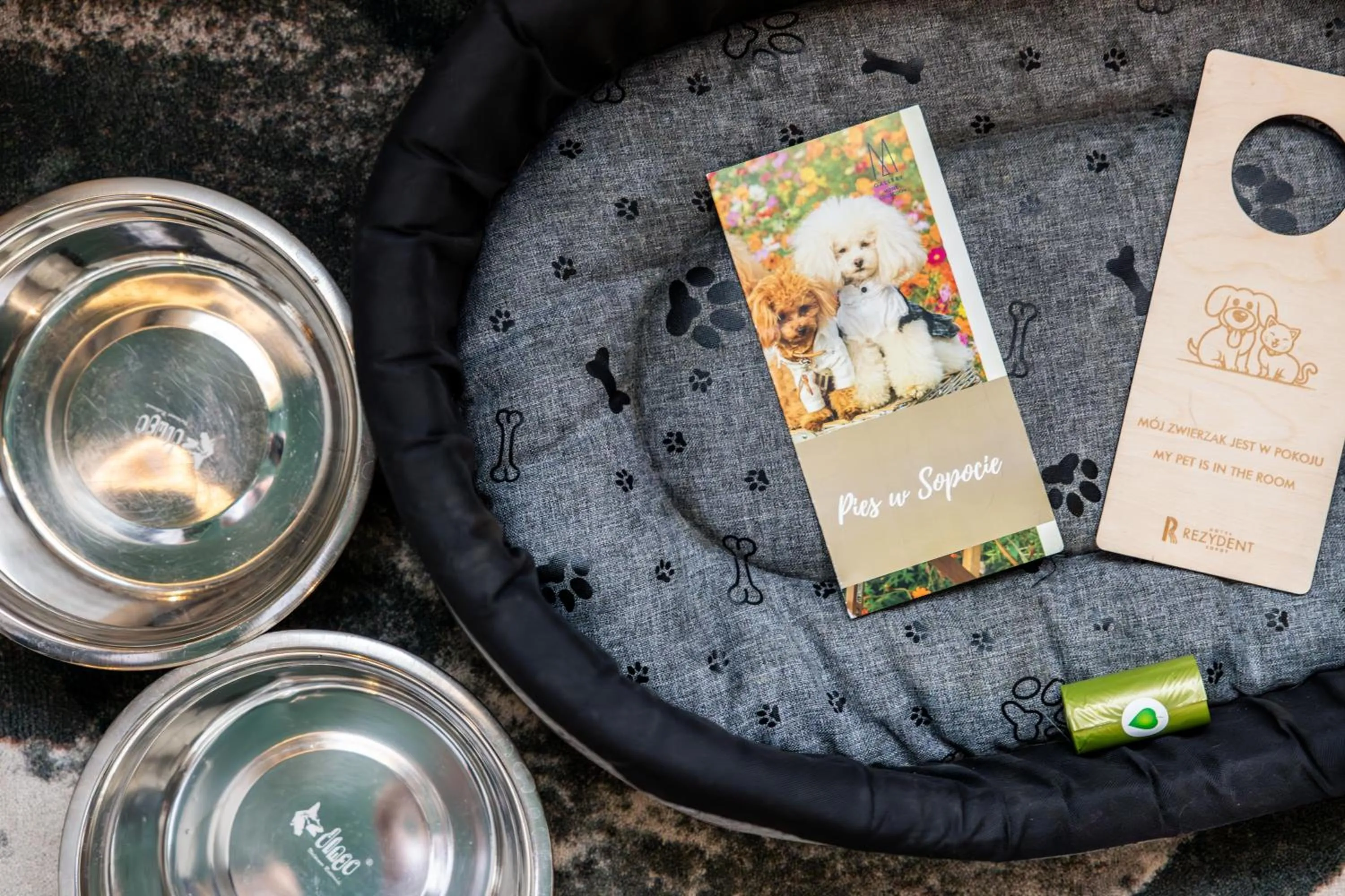 Pets in Rezydent Hotel Sopot - MGallery Collection