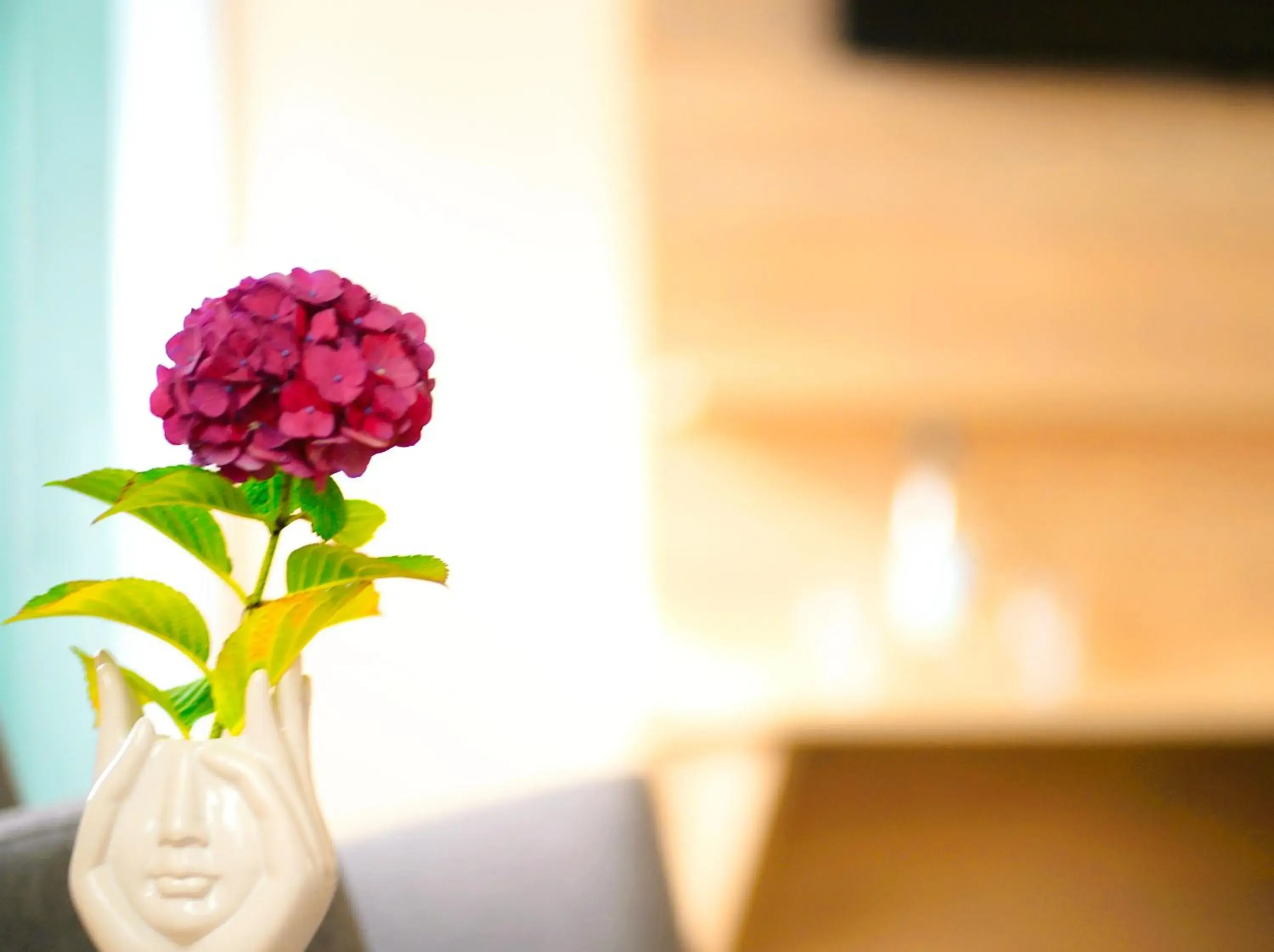 Deluxe Twin Room in Abtei Hotel Deluxe Twin Room in Abtei Hotel