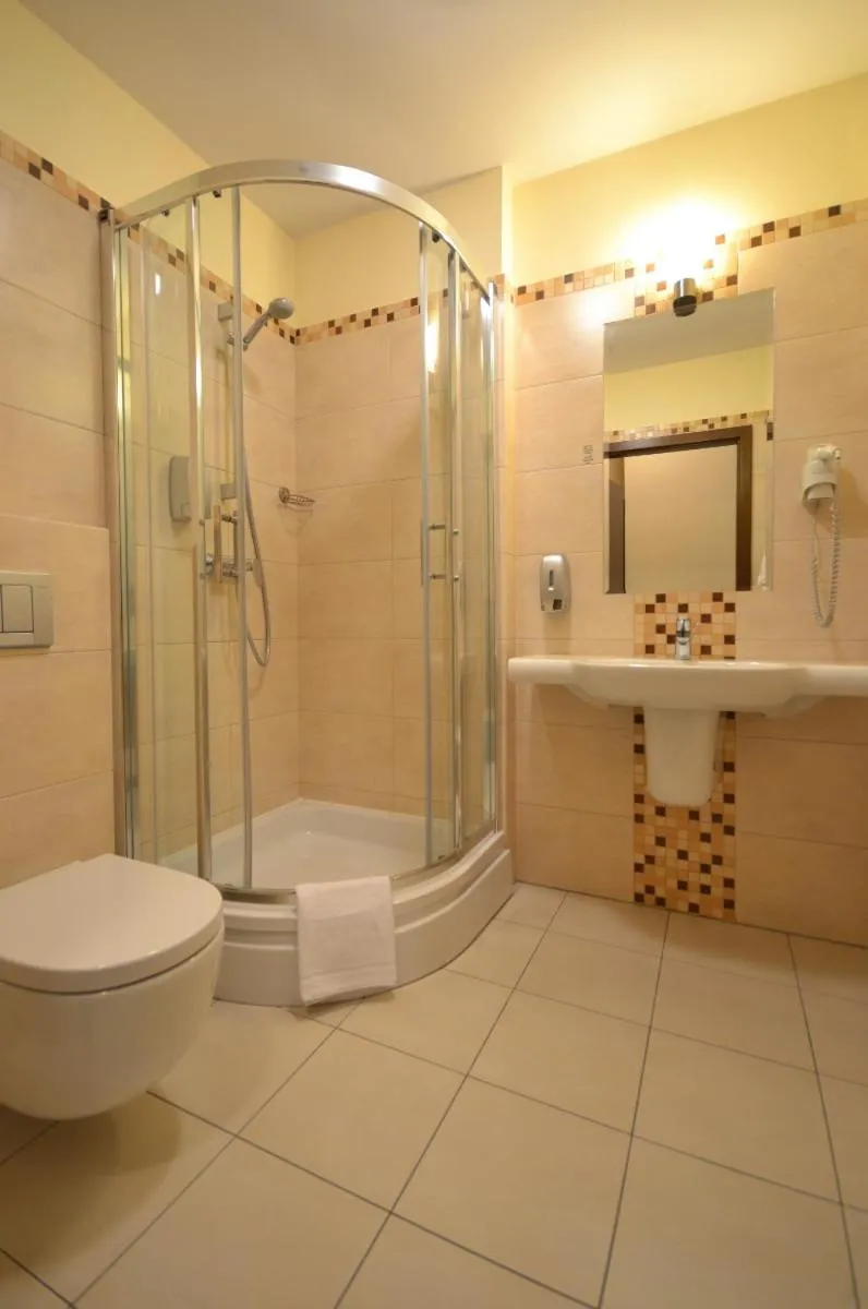 Standard Queen Room in Hotel Topaz Poznań Centrum