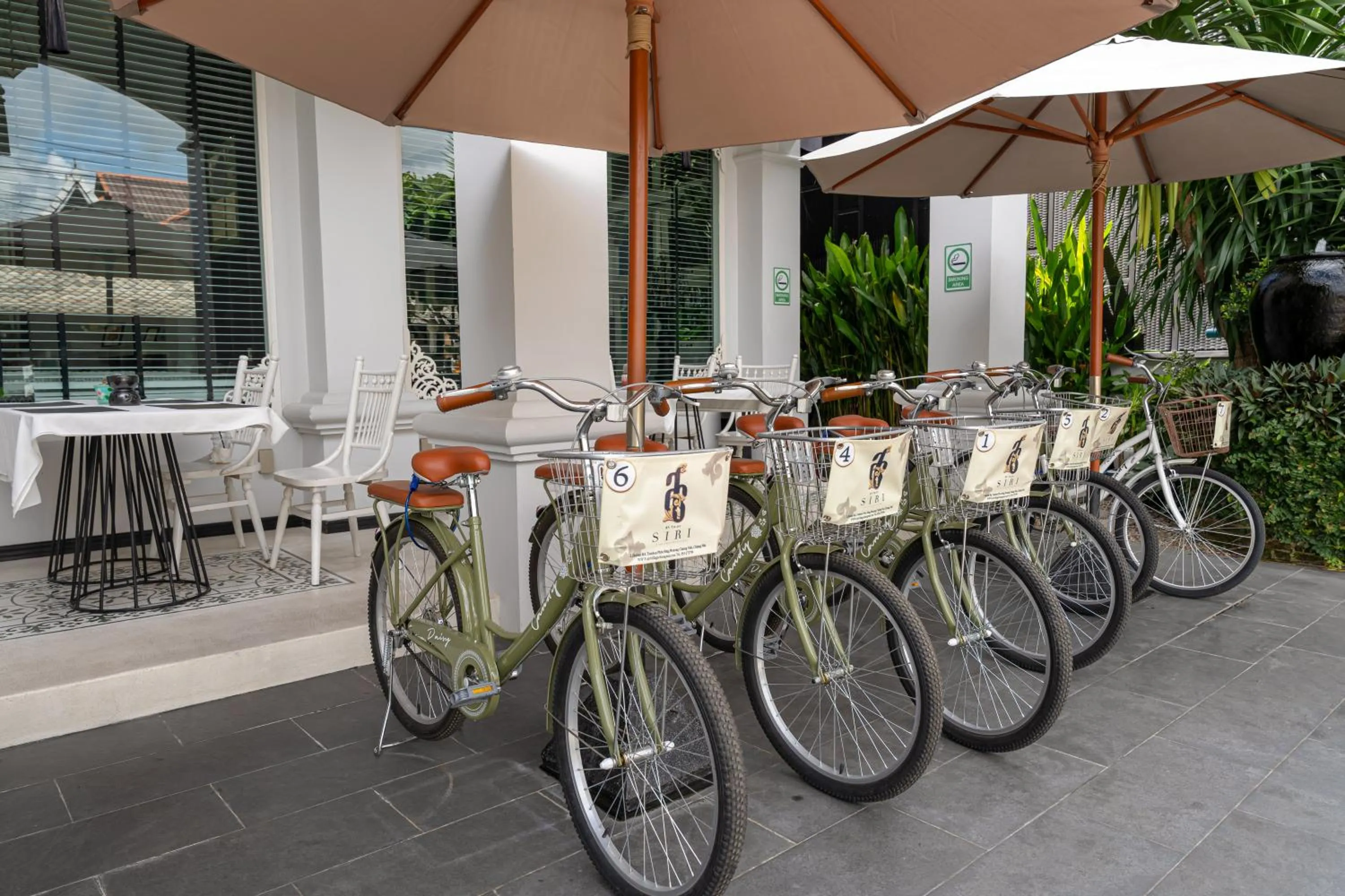 Cycling in Siri Village Chiang Mai