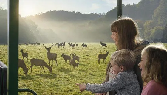 Natural landscape in Hotel Au lit des ours