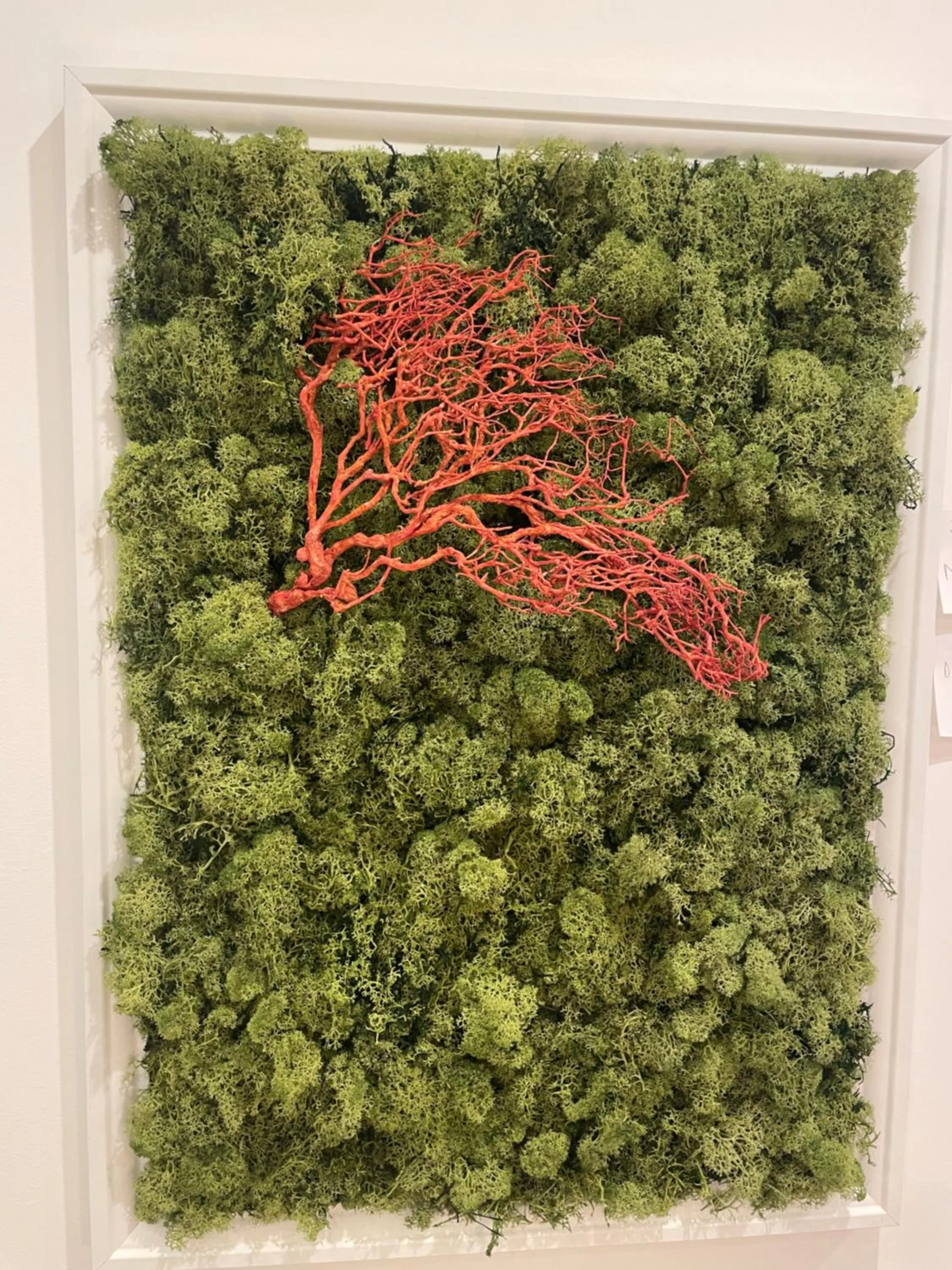 Decorative detail in Stella Rooms