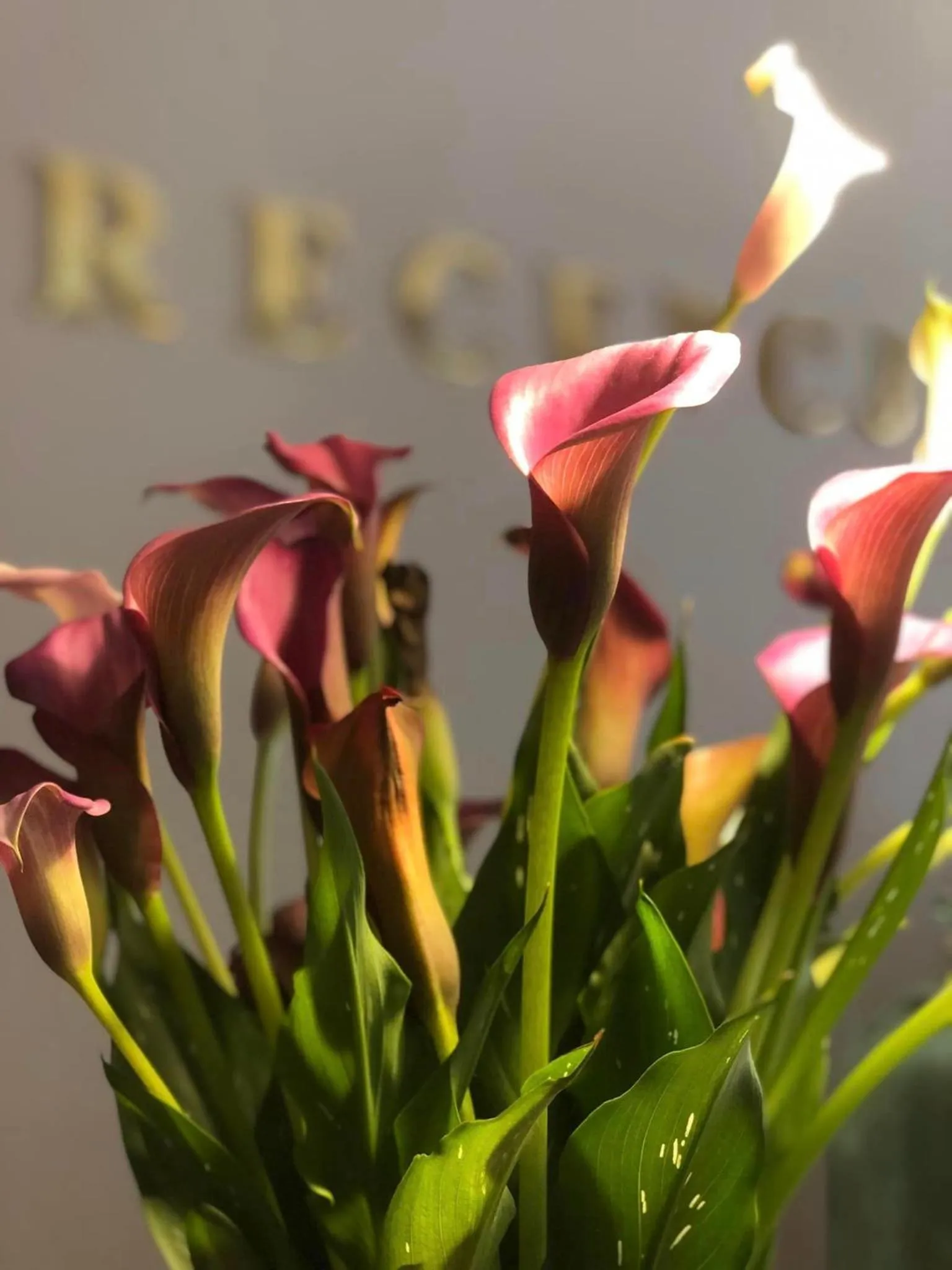 Lobby or reception in Hotel Stare Miasto Old Town