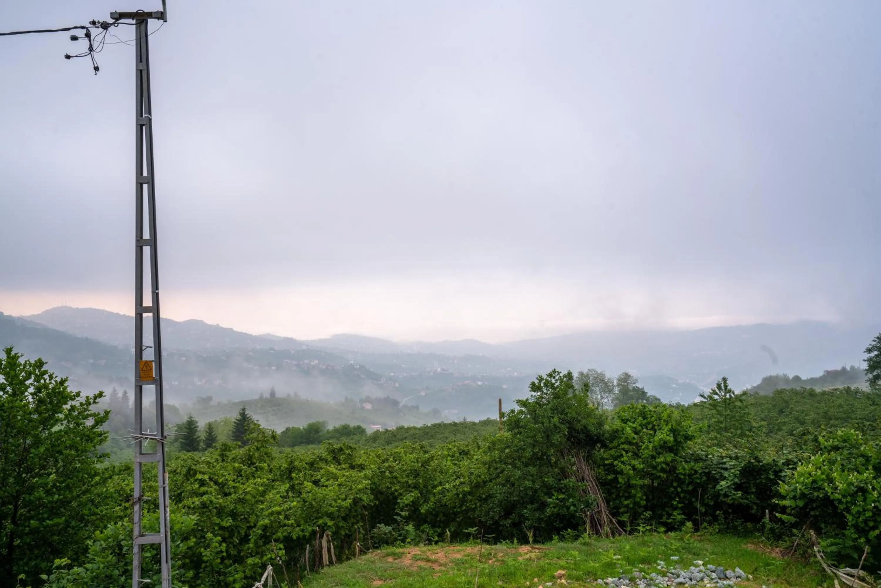 POISON GARDEN SUİTE