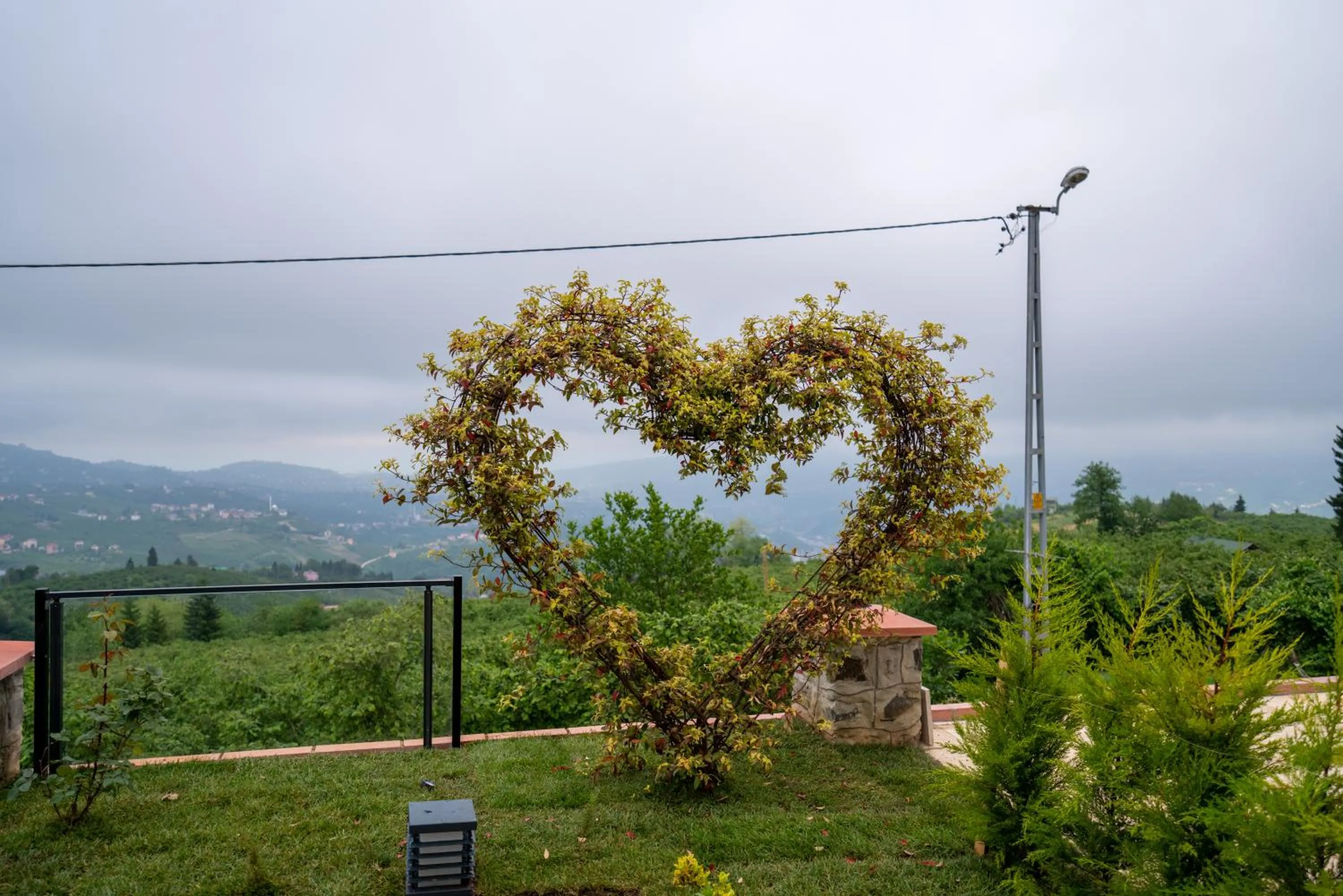 POISON GARDEN SUİTE