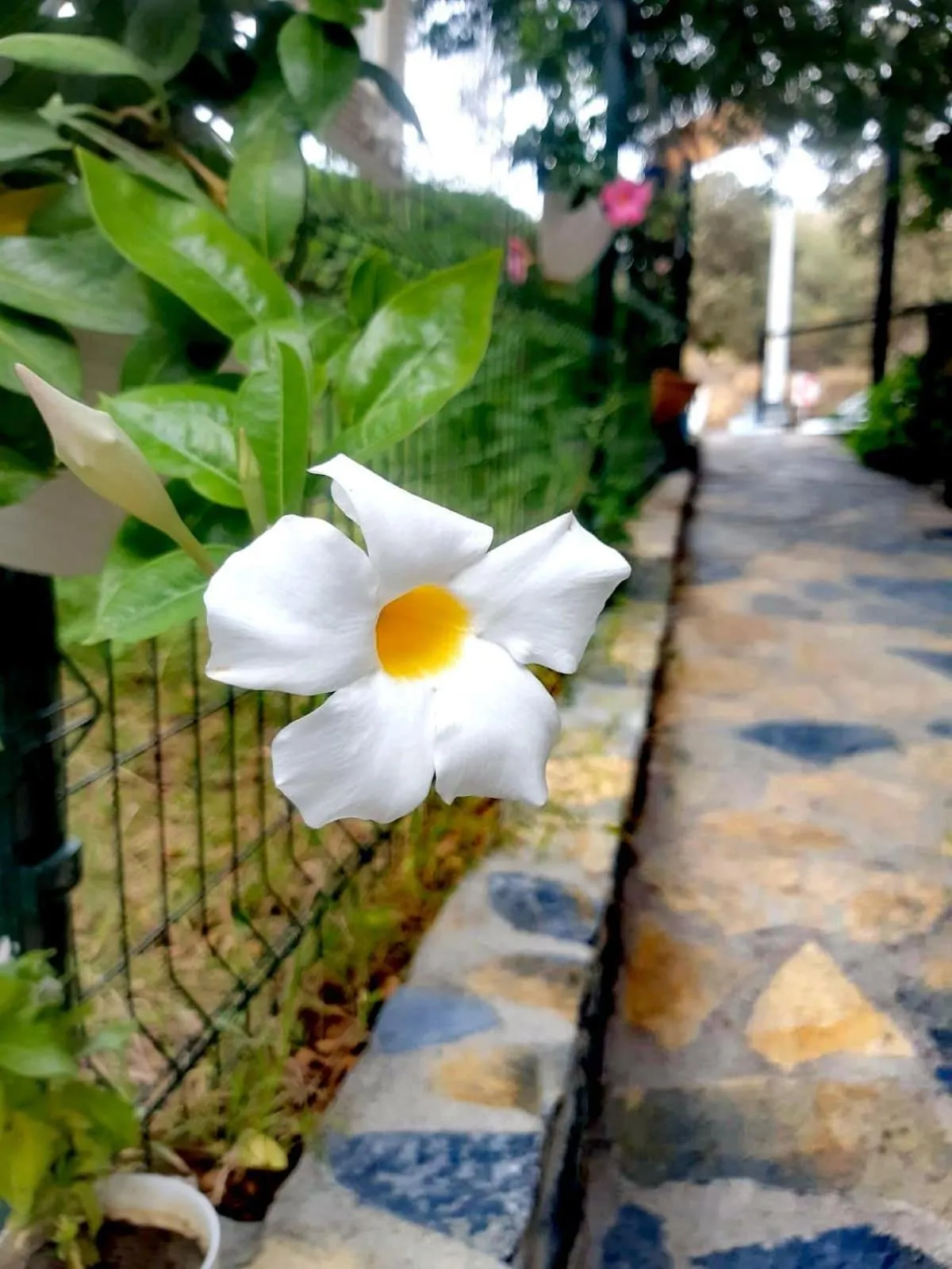 Benjamin Otel Gumusluk