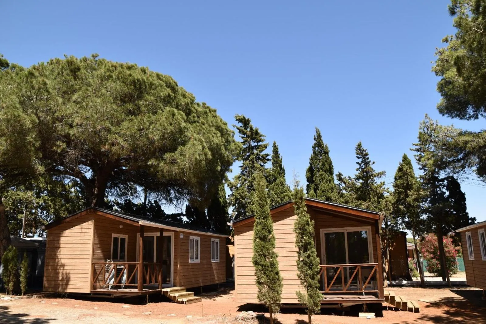 Garden in TAIGA Conil