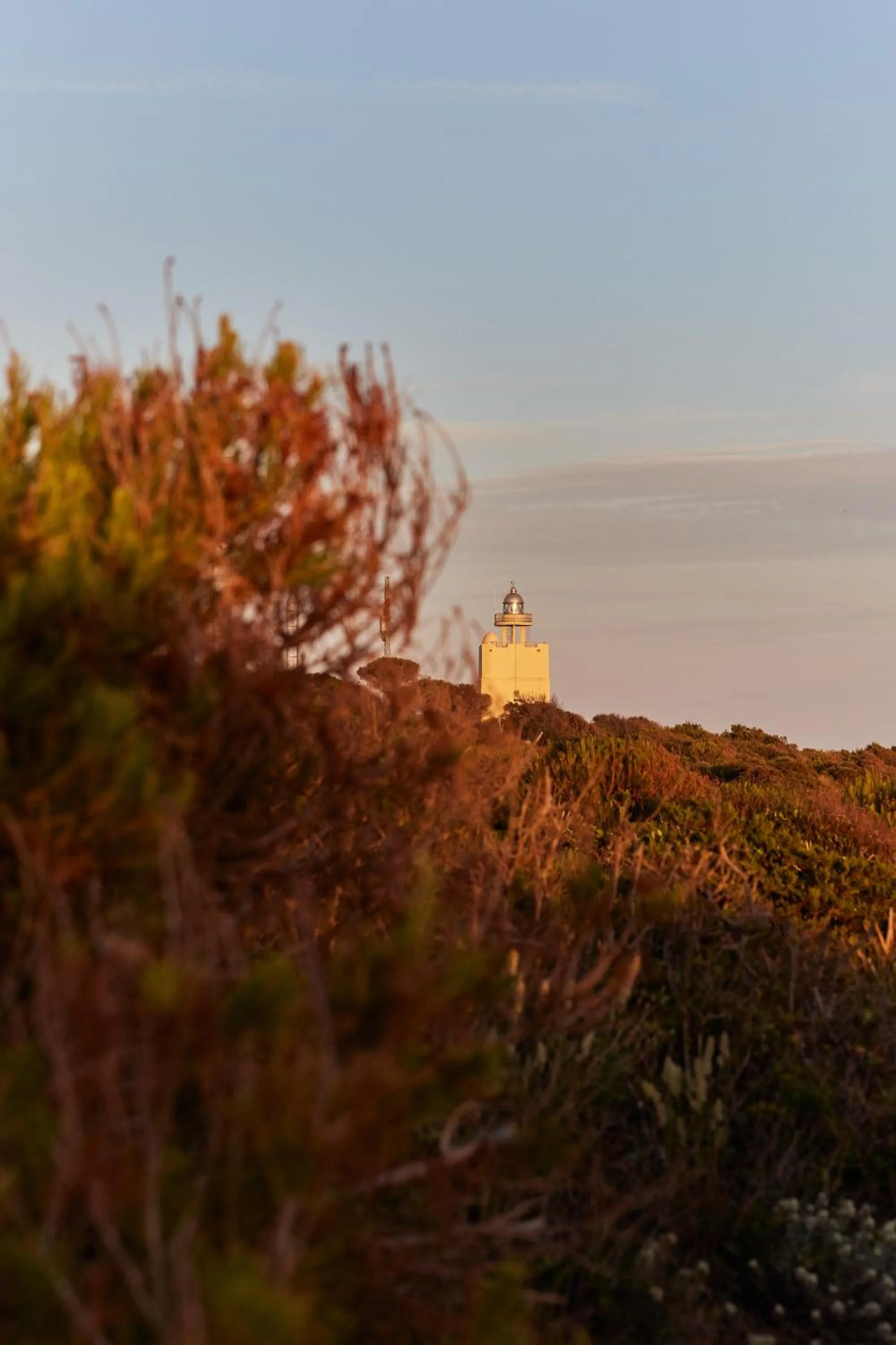 Nearby landmark in TAIGA Conil