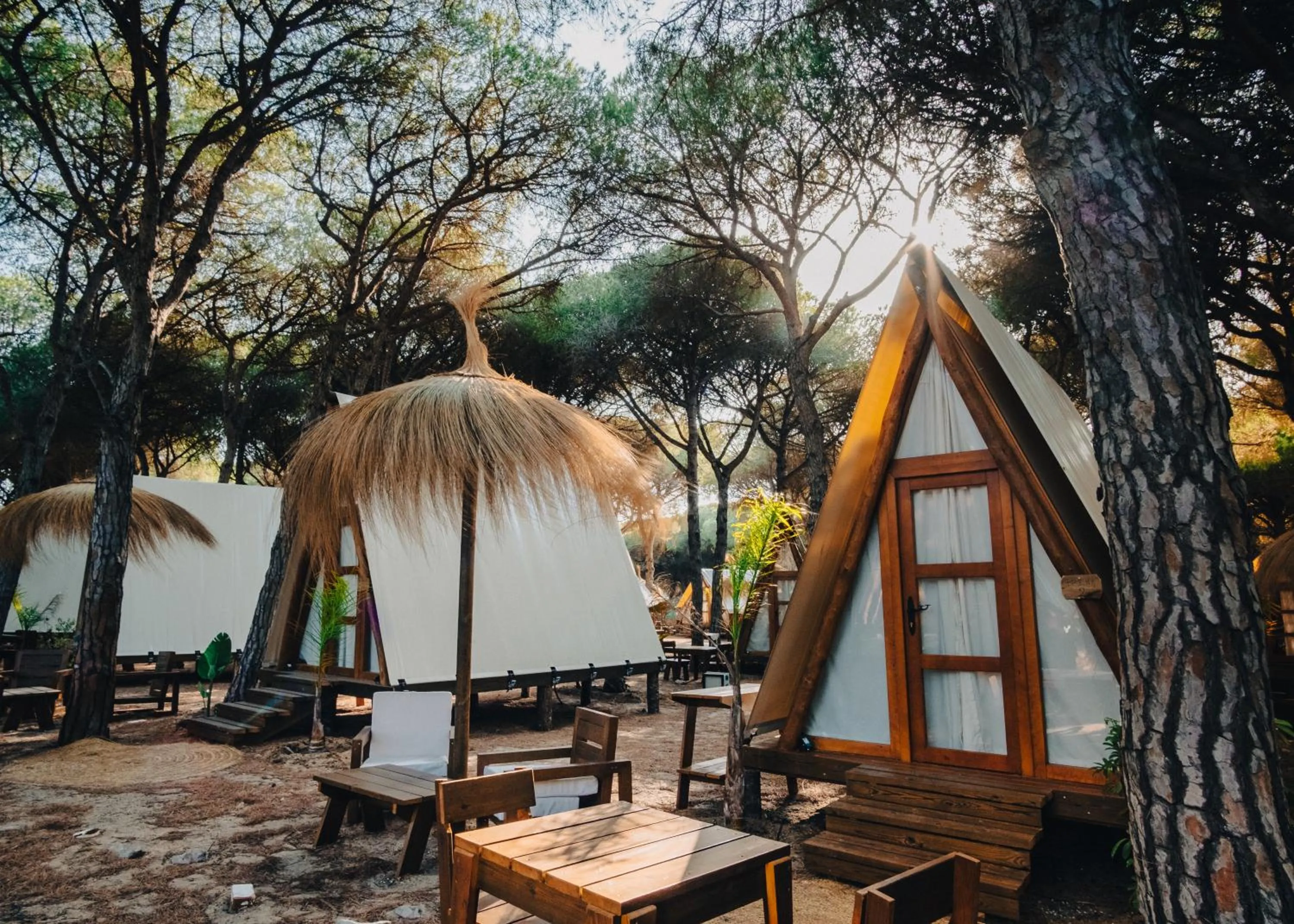 Garden in TAIGA Conil