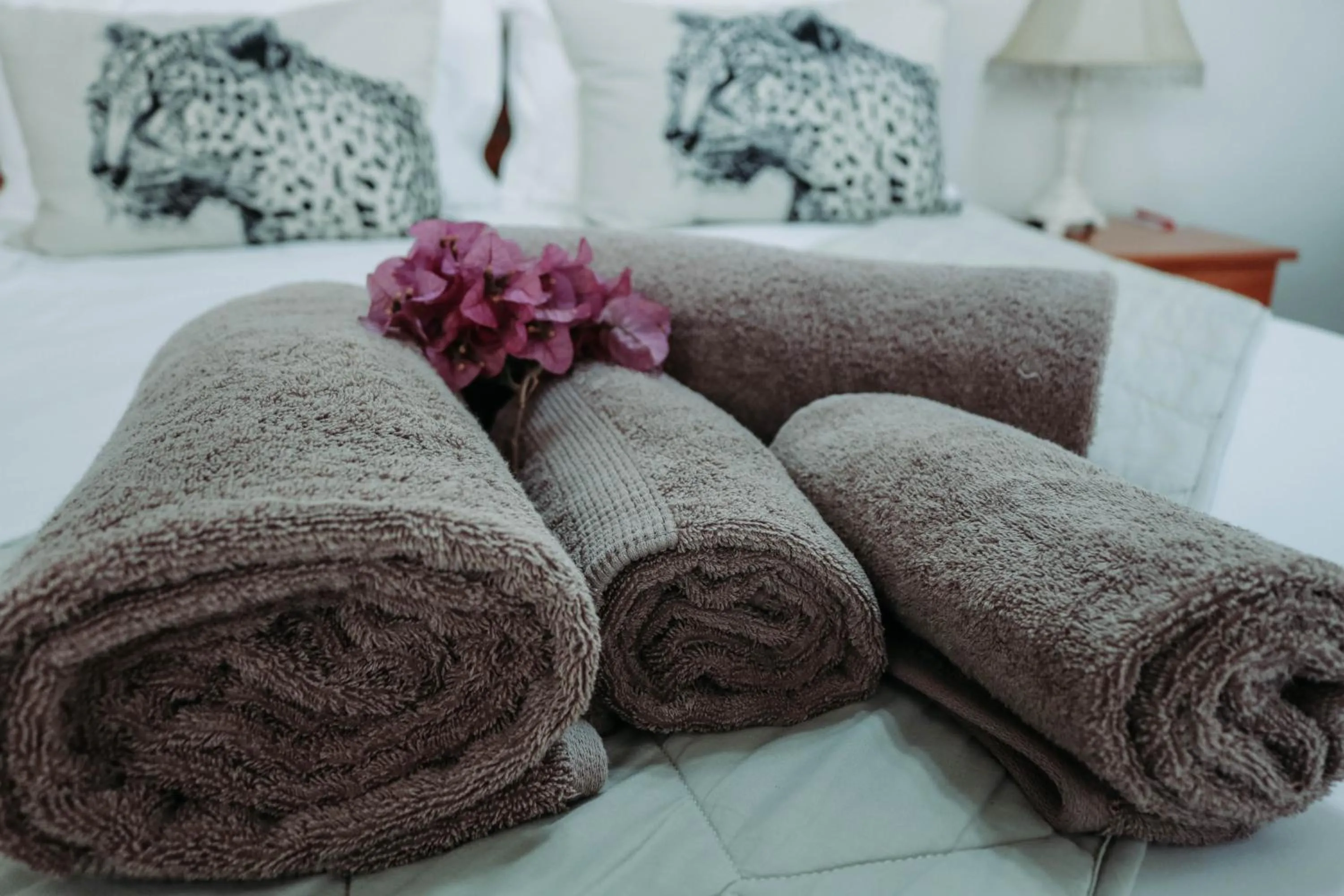 Bed in Danlee Overnight Accommodation