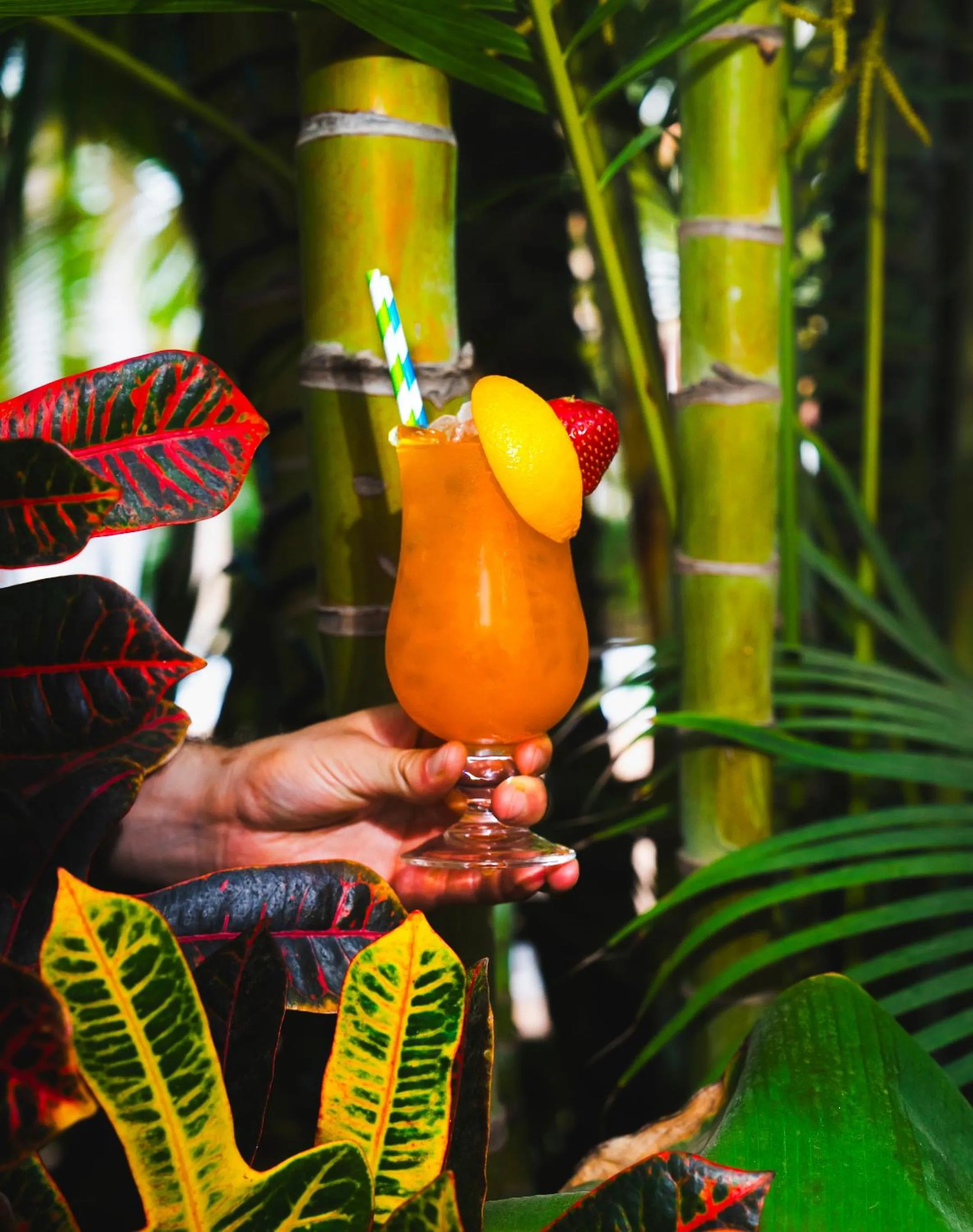 Drinks in Marinell Collection Palm-Mar