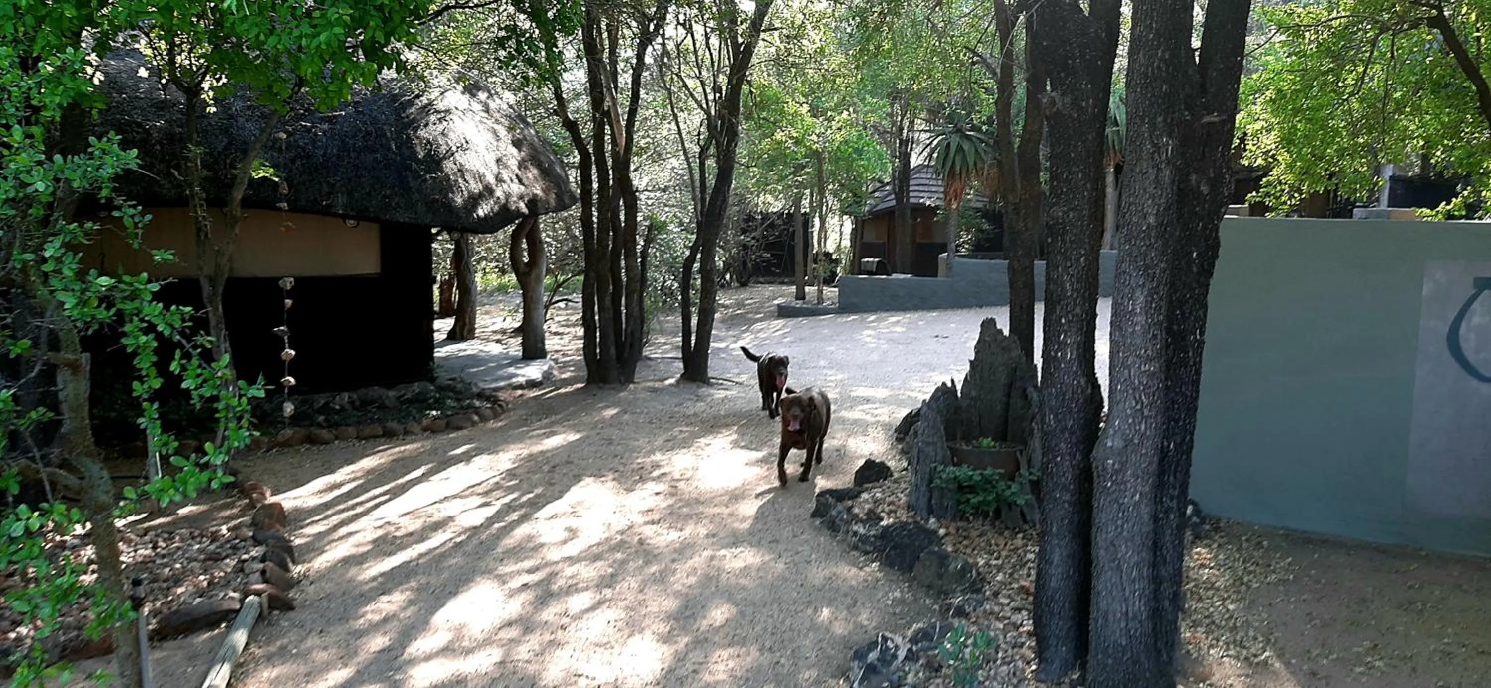 Natural landscape in Off Beat Safaris Bush Lodge