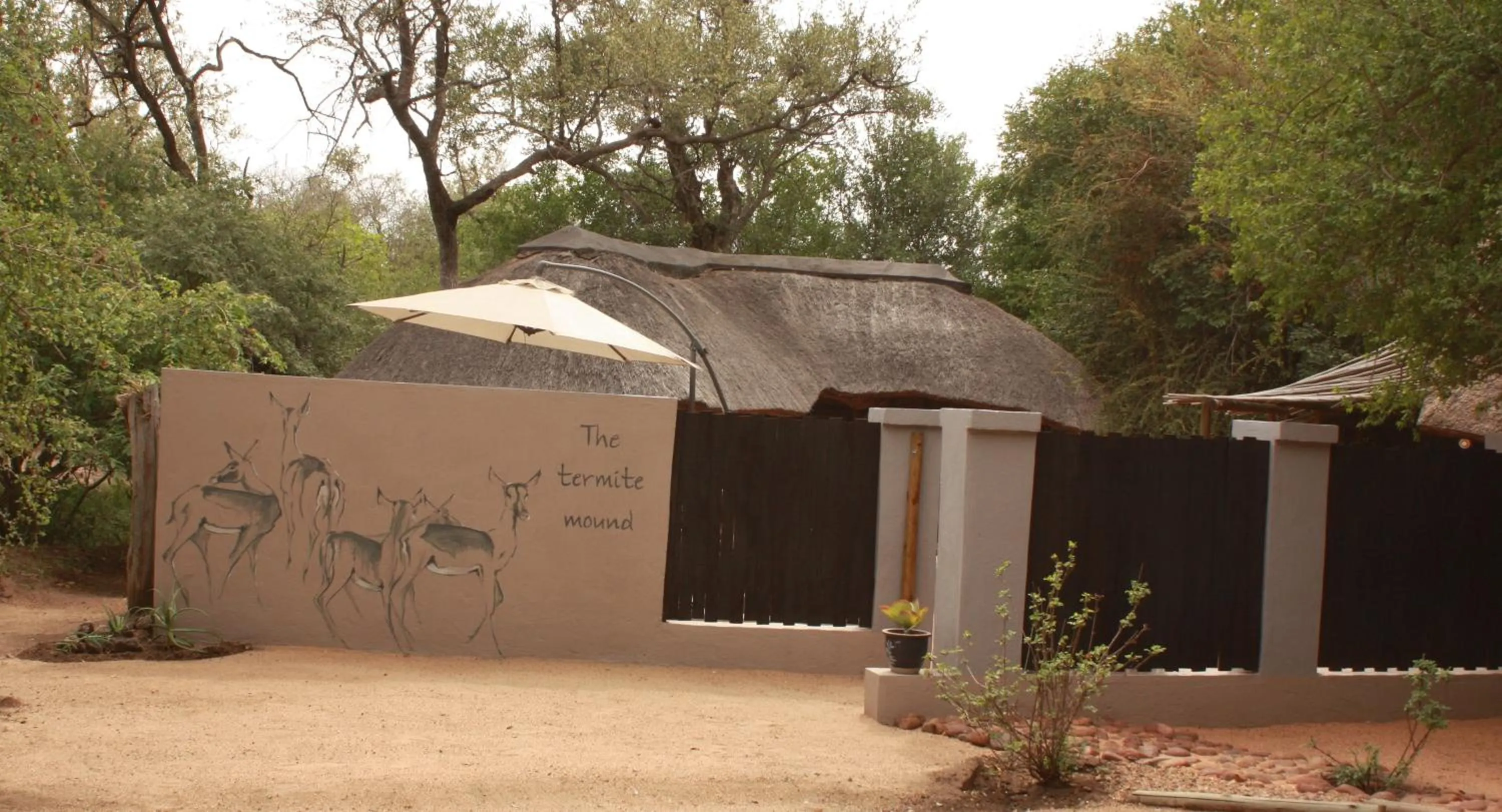 Property building in Off Beat Safaris Bush Lodge