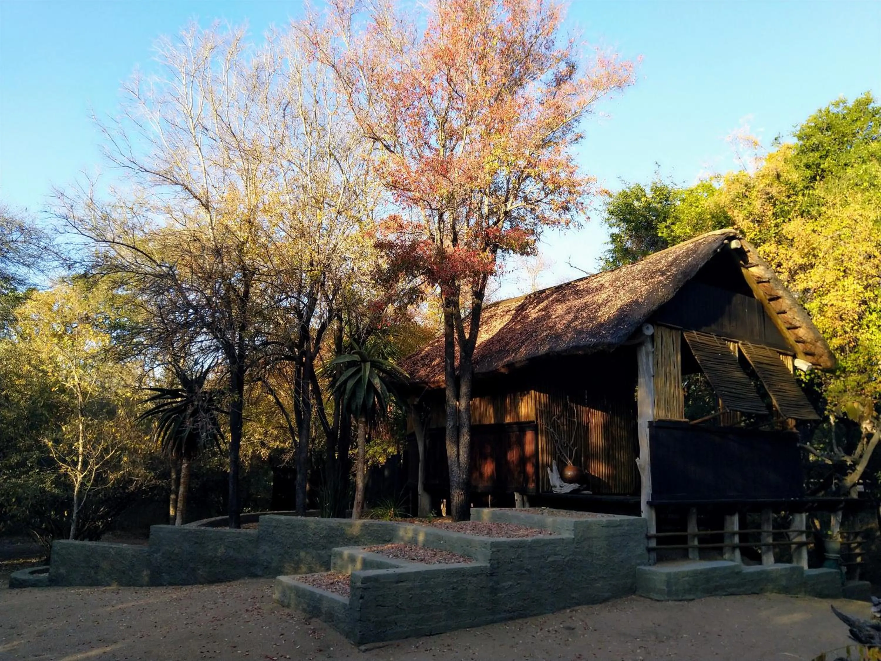 Property building in Off Beat Safaris Bush Lodge