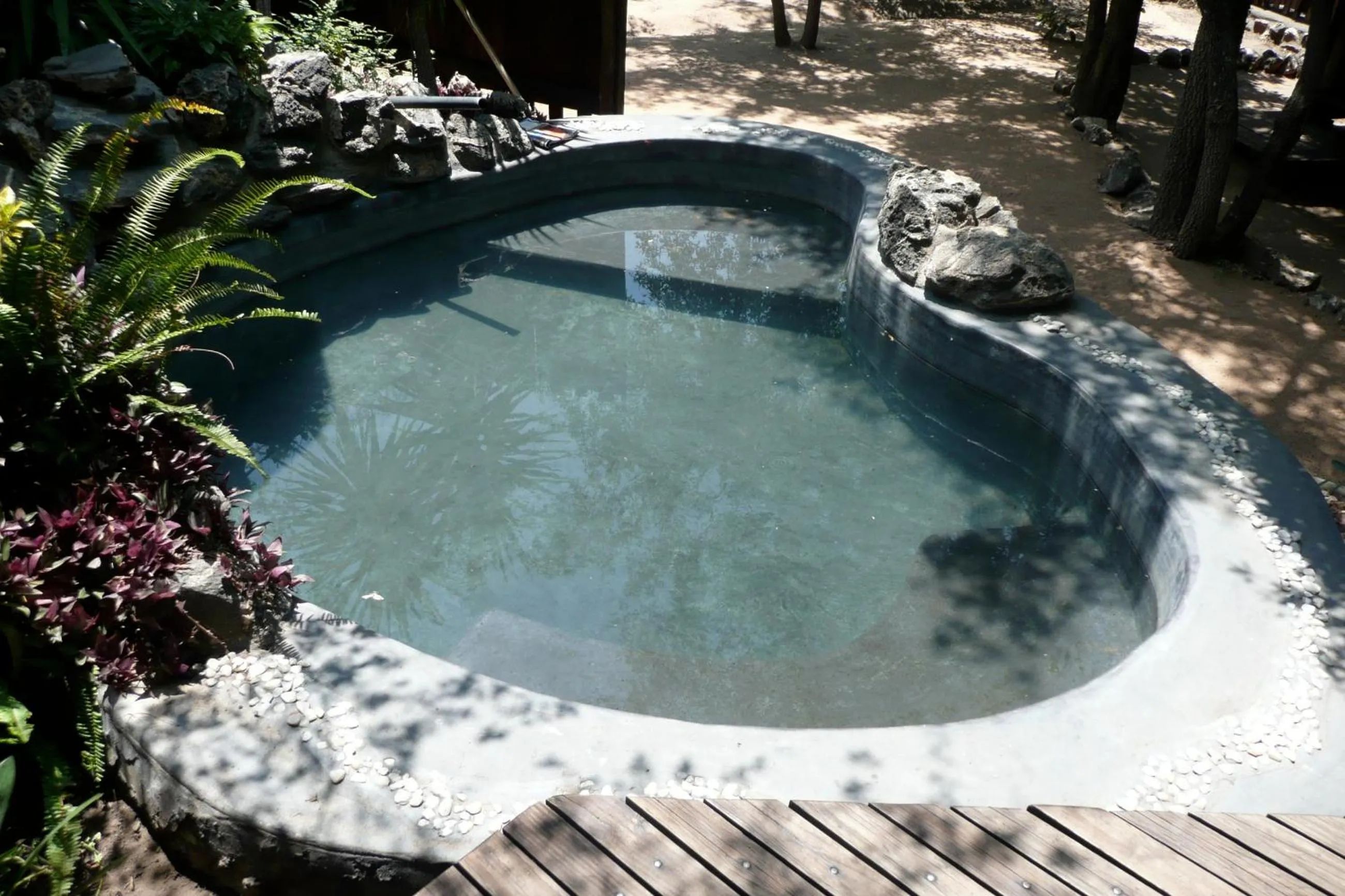 Swimming pool in Off Beat Safaris Bush Lodge