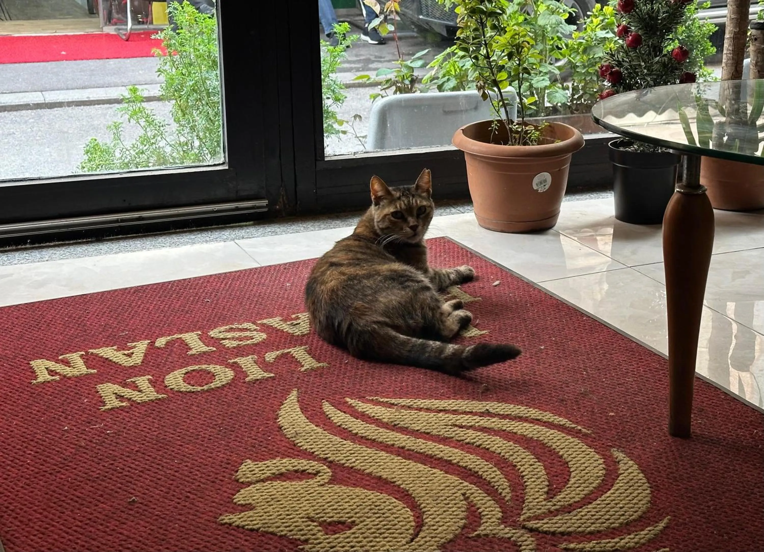 Lobby or reception in Mr Lion Kumkapı Otel