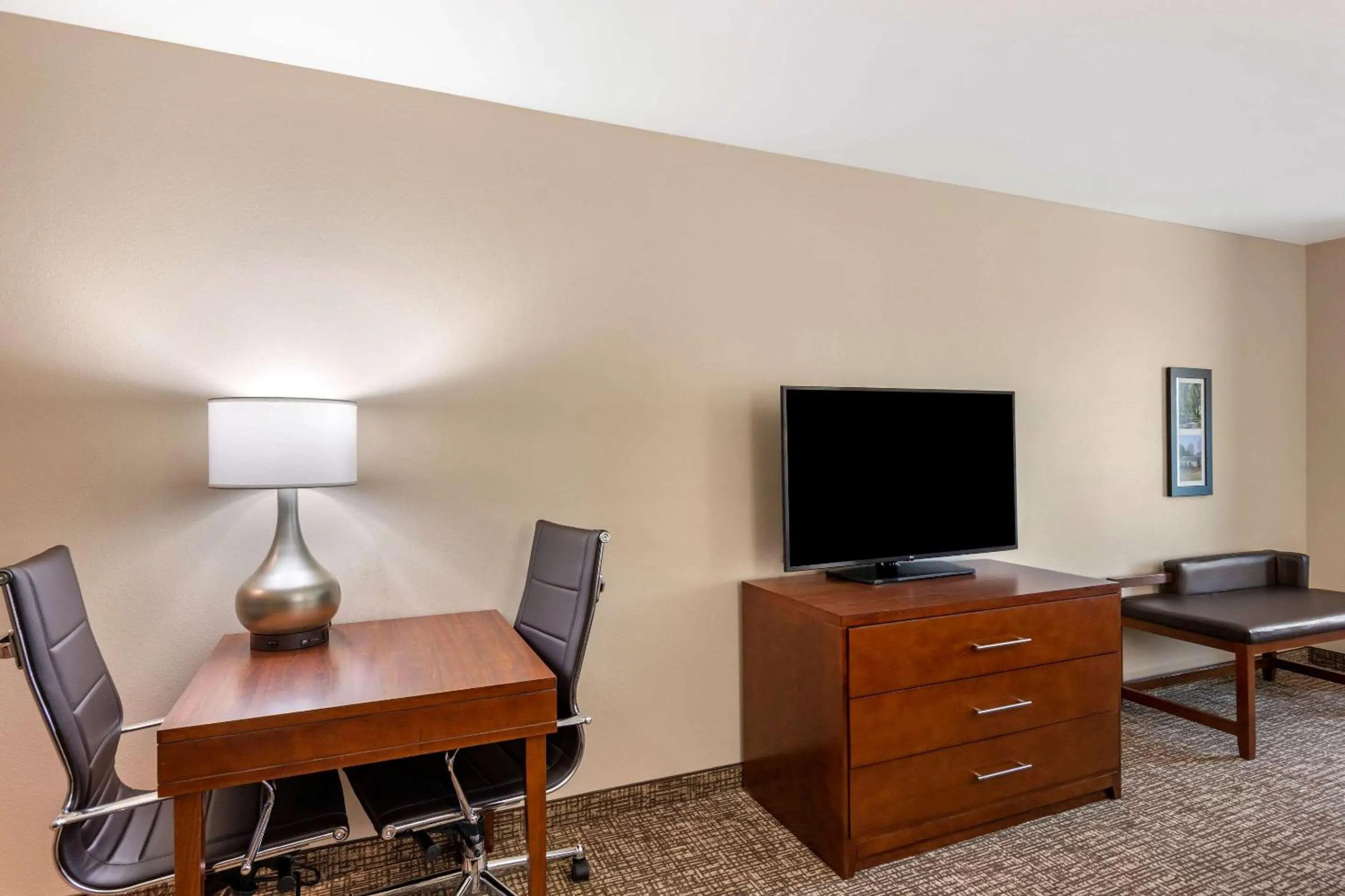 TV and multimedia in Comfort Inn & Suites Charlottesville Hollymead Town Center