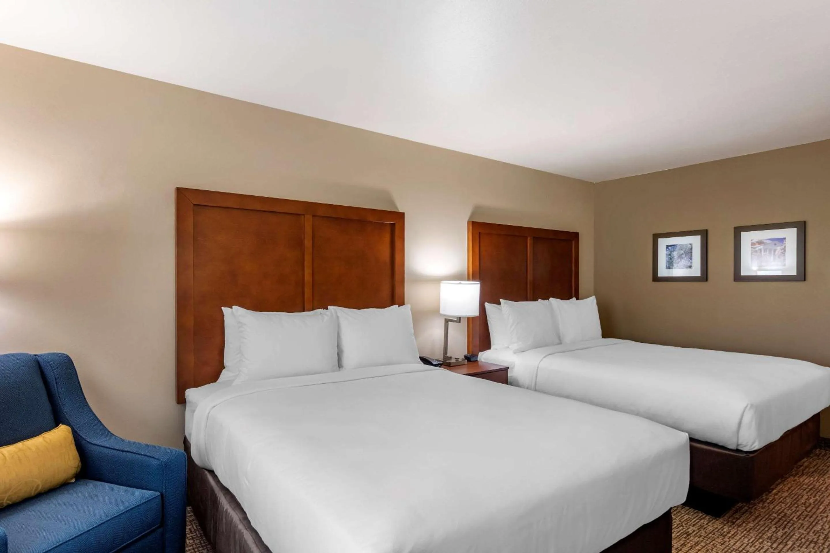 Bedroom, Bed in Comfort Inn & Suites Charlottesville Hollymead Town Center